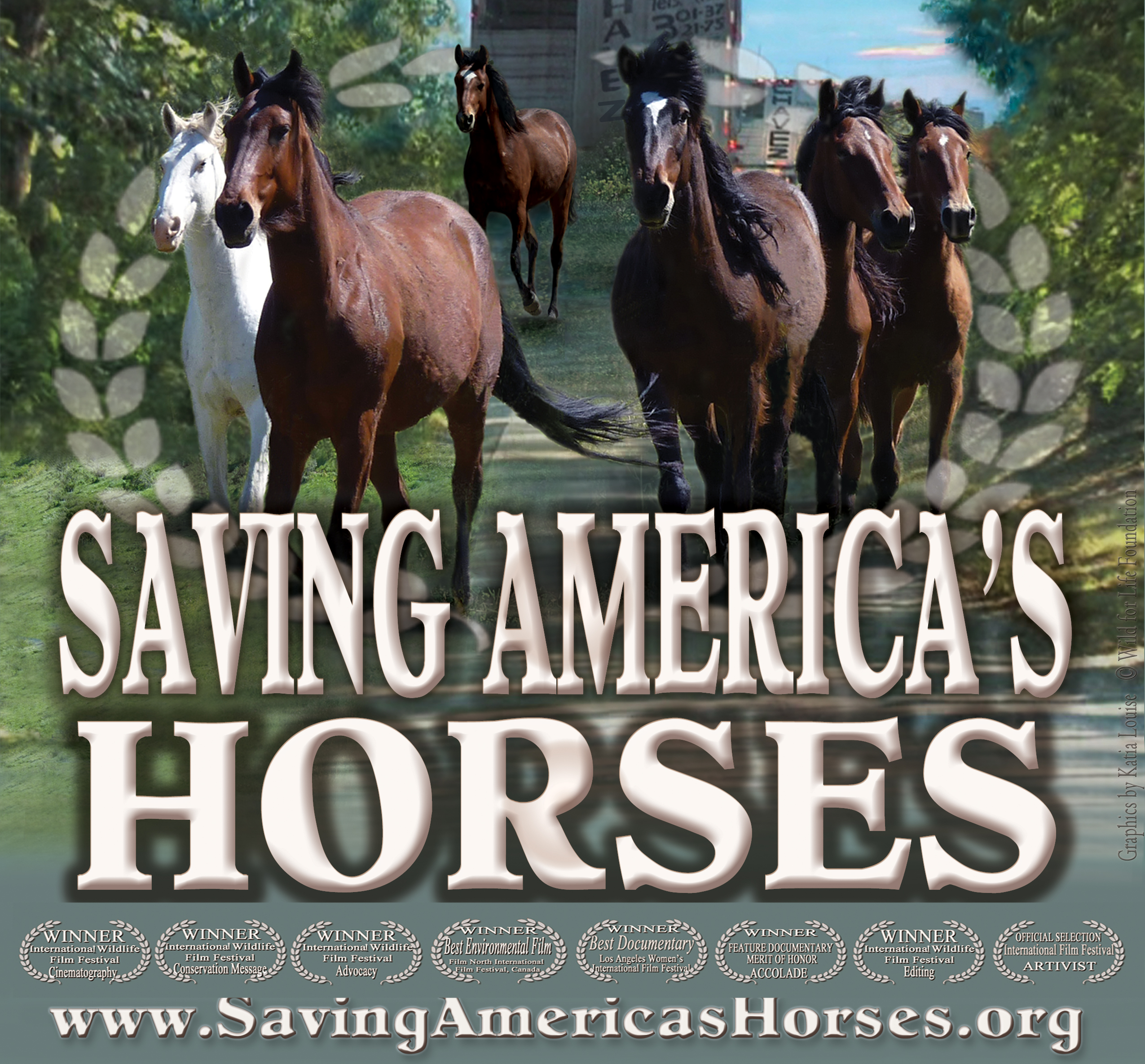 Saving America's Horses