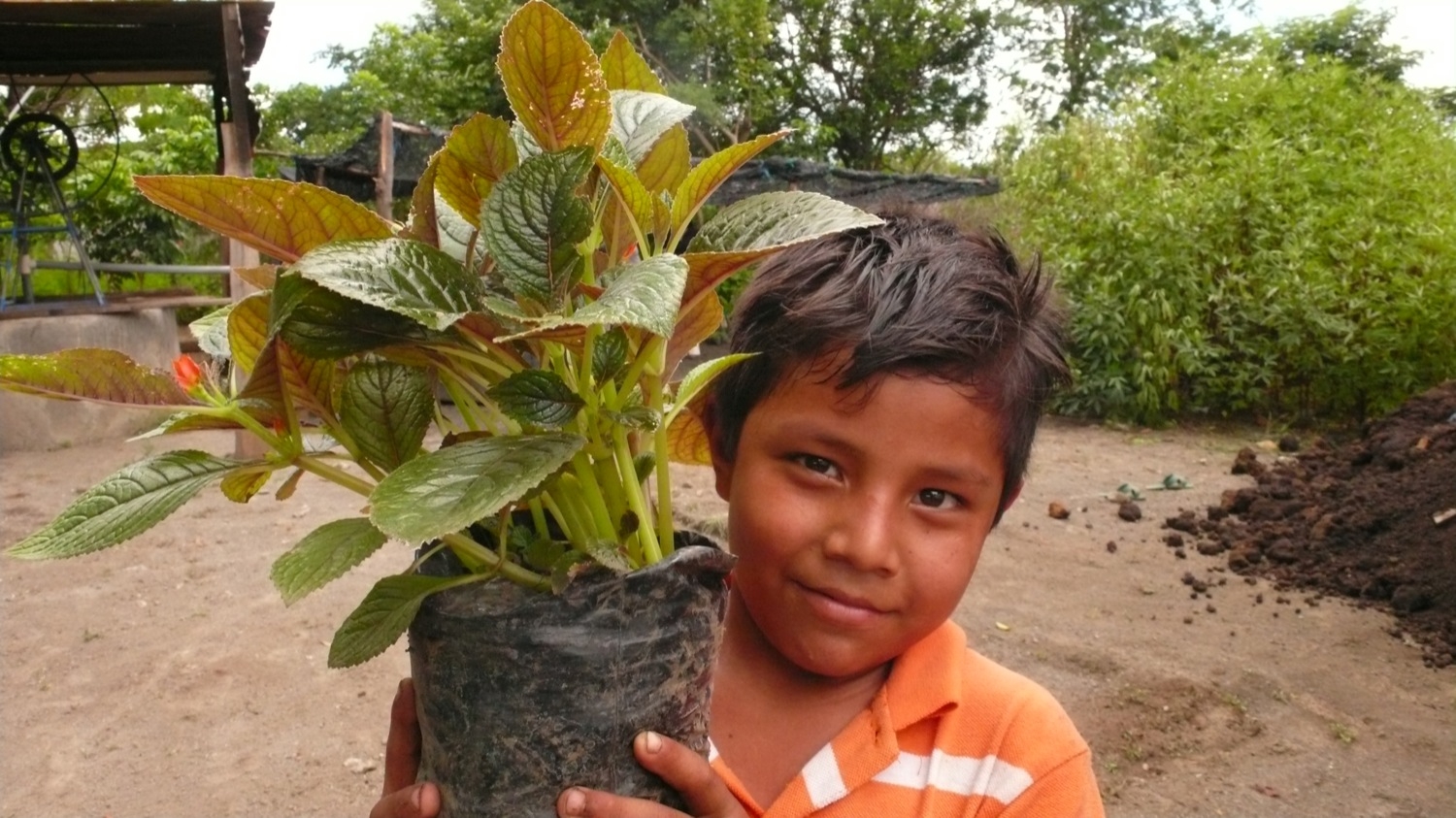 Plant 10,000 Trees in Nicaragua
