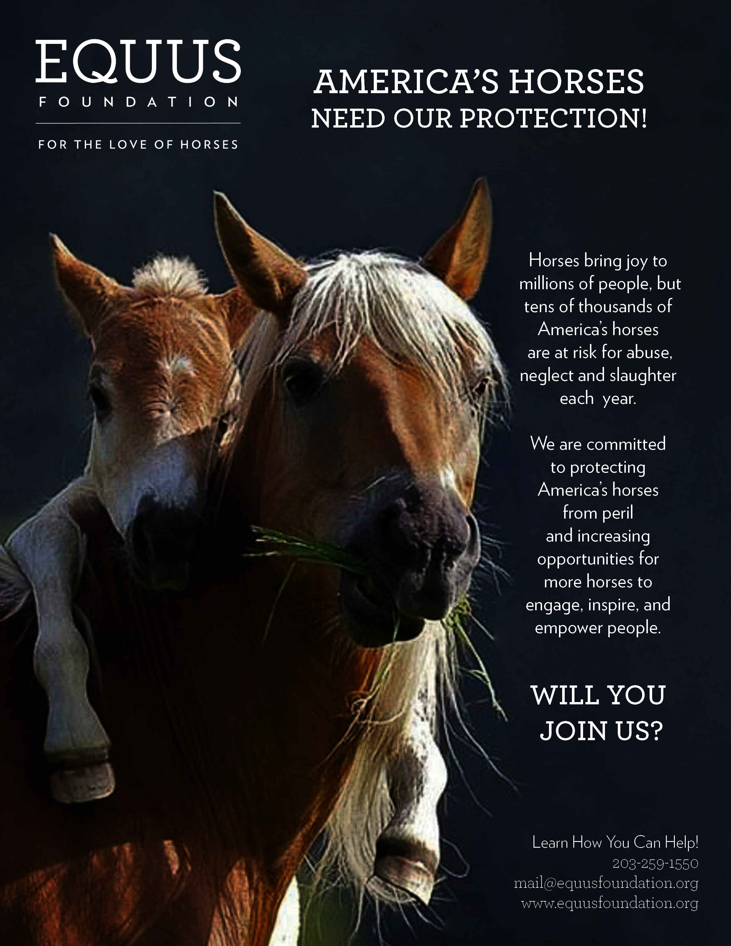 Can You Make A Horse Smile? You Bet! Here's How...