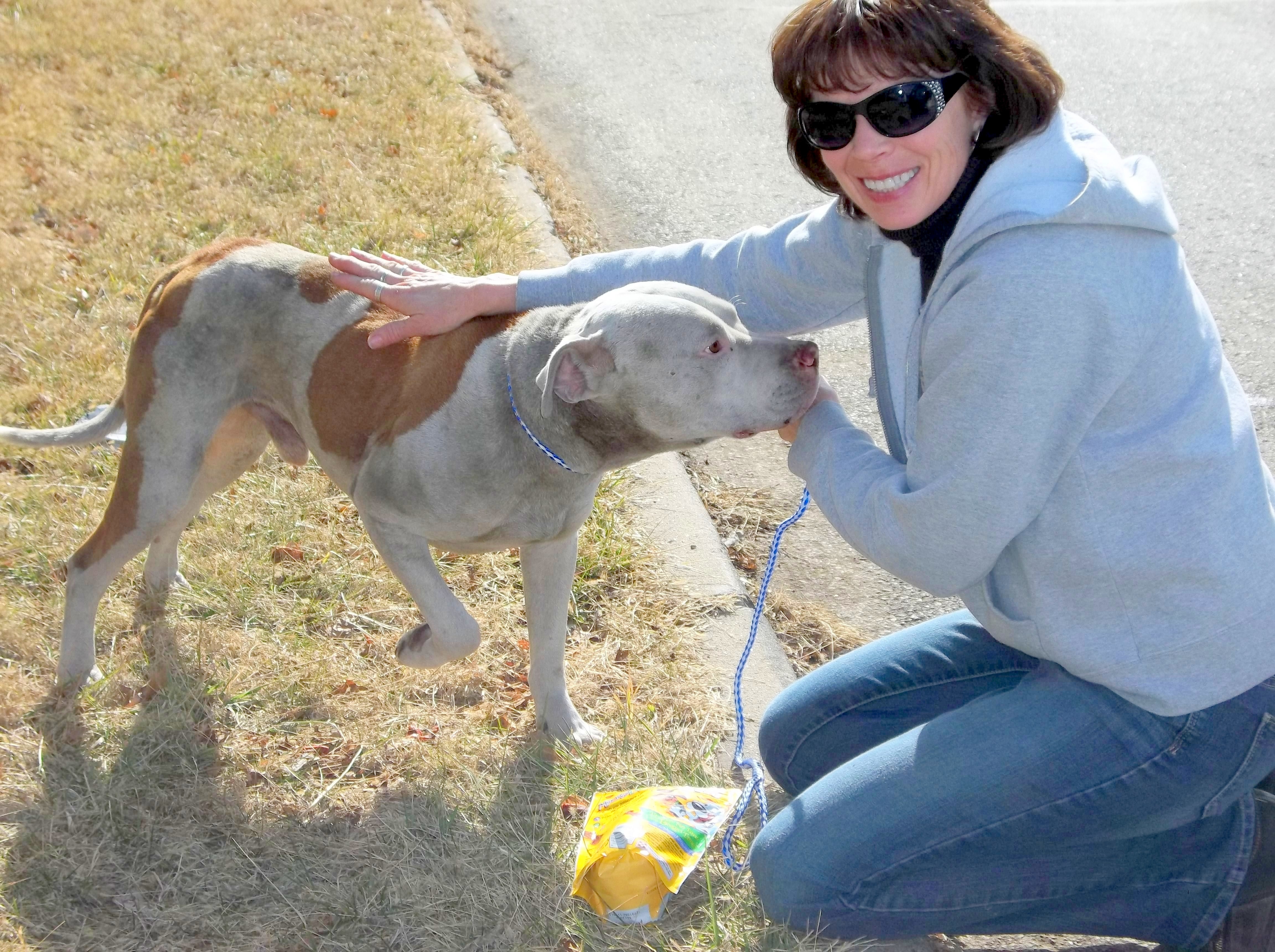 End animal suffering in KCMO urban core