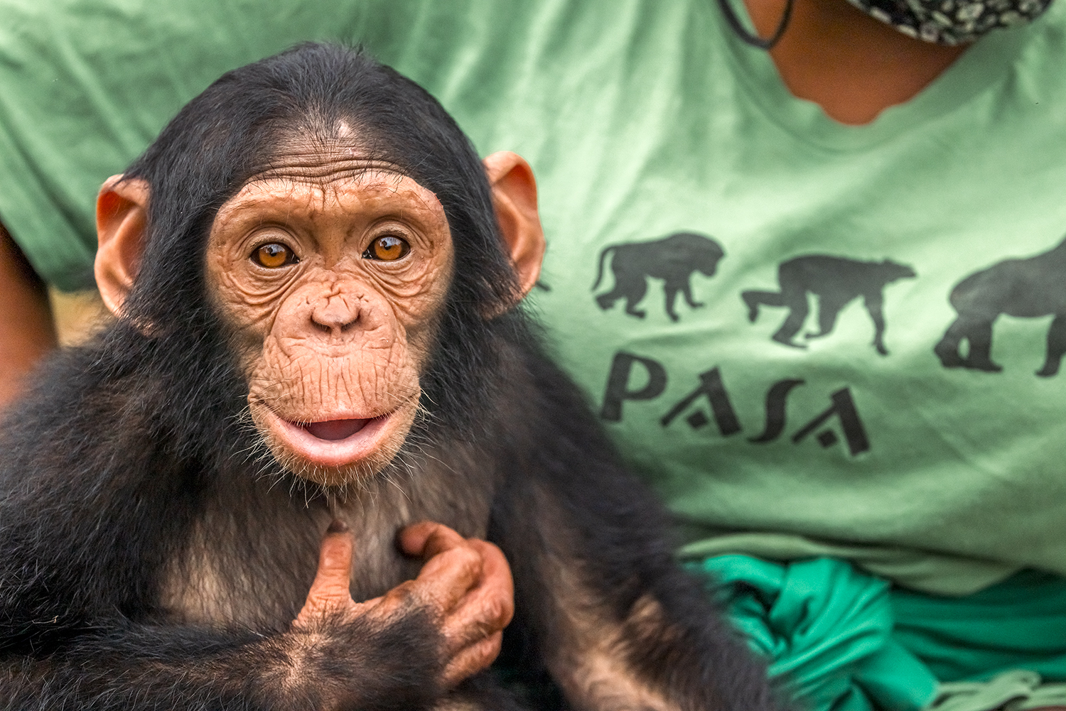 Rescue Orphaned Primates