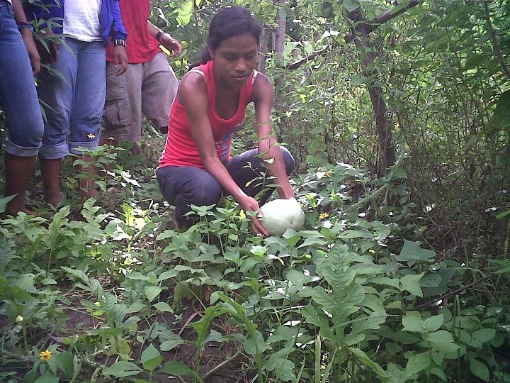 Hydroponics for Nicaraguan young entrepreneurs