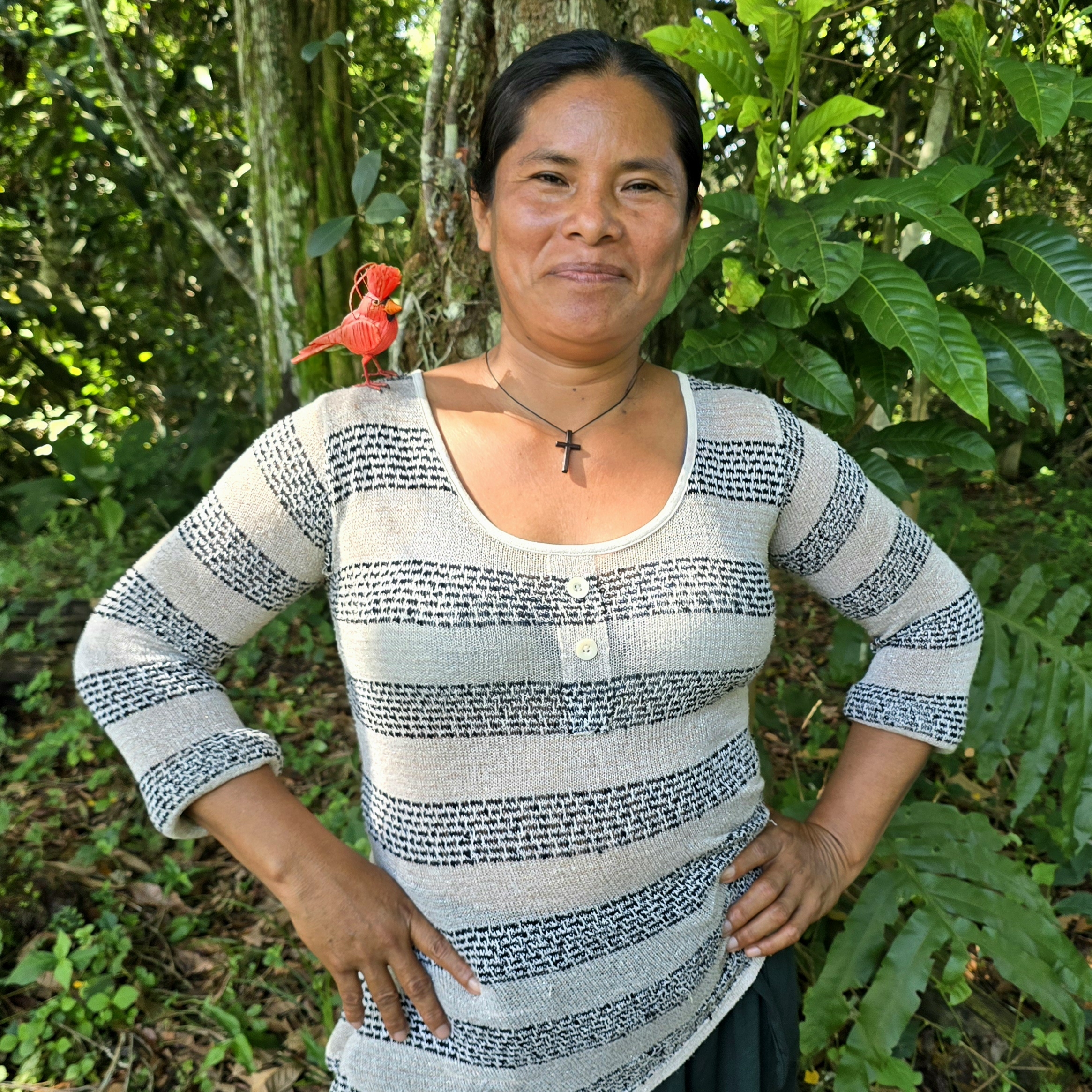 Support native artisans & rainforest in the Amazon