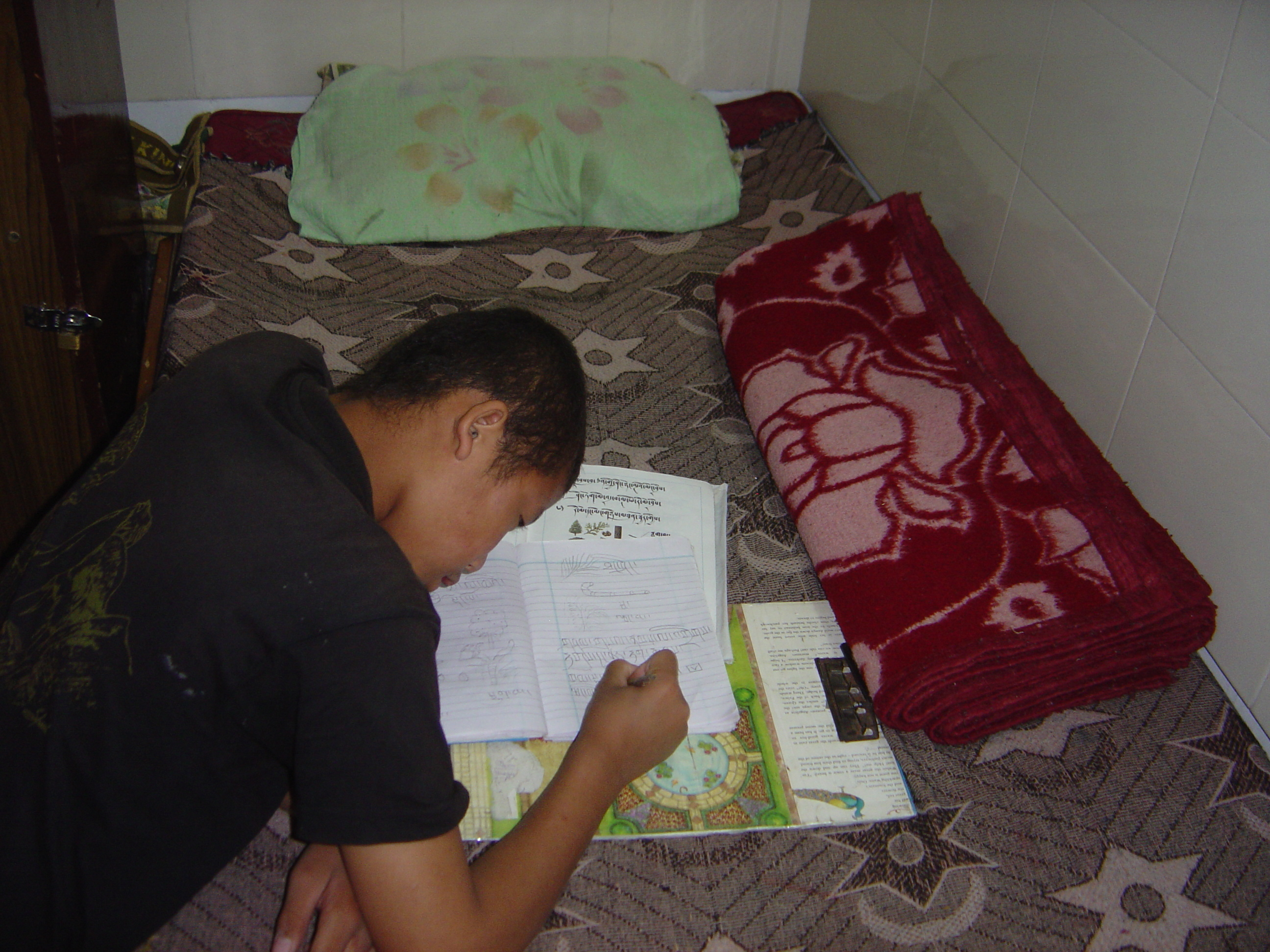 Provide a Scholarship to One Tibetan Bon Student