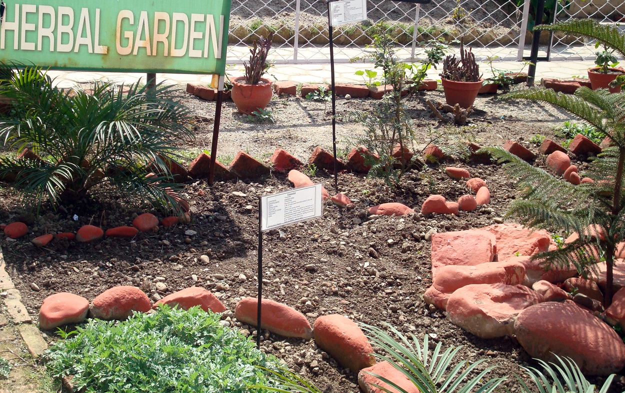 Herbal Garden Education for Students In Nepal