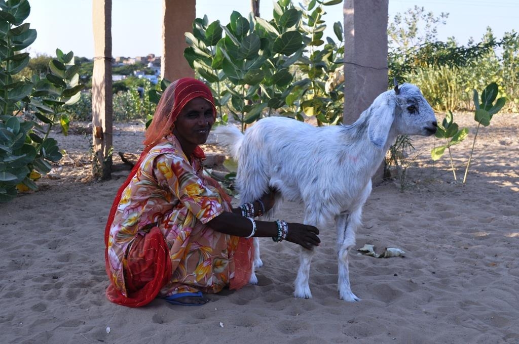 Sambhali Trust Empowering Women and Girls in India