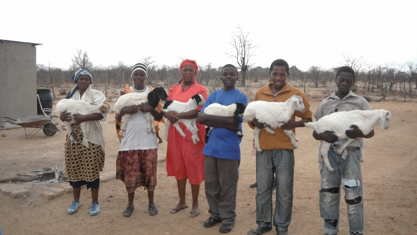 Training/Guinea Fowl for 30 Adolescent Guardians