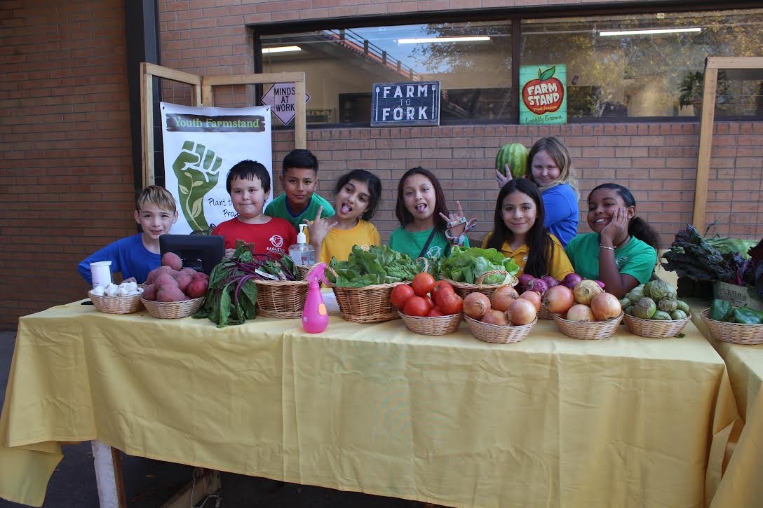 Give Healthy Food to 462 Colorado Families in Need