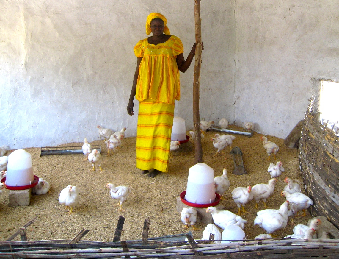 Economic Self-sufficiency for 280 Senegalese Women