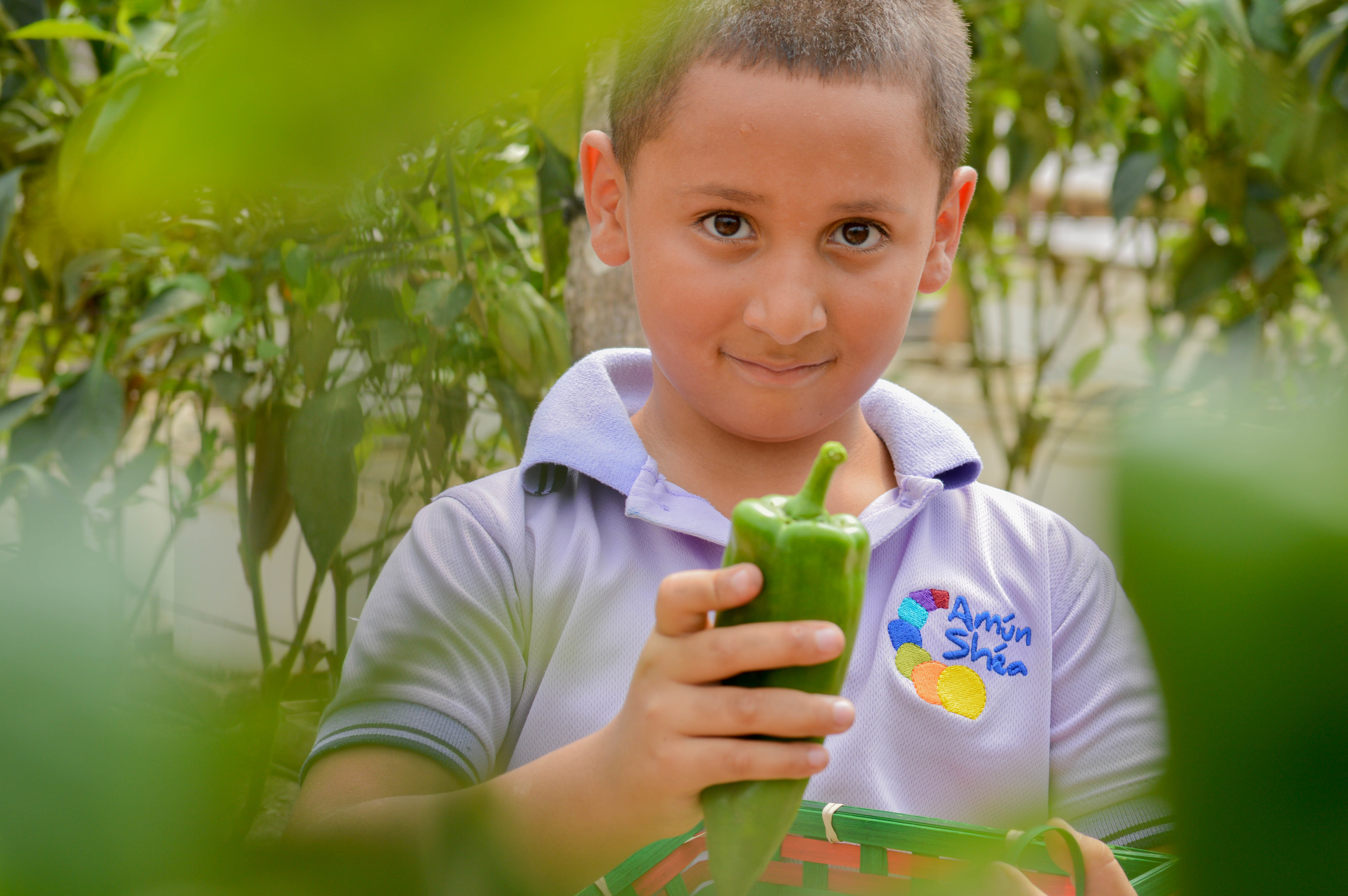 Aquaponics Solution to Climate Change