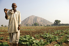 Give Farm training to Indian HIV Families