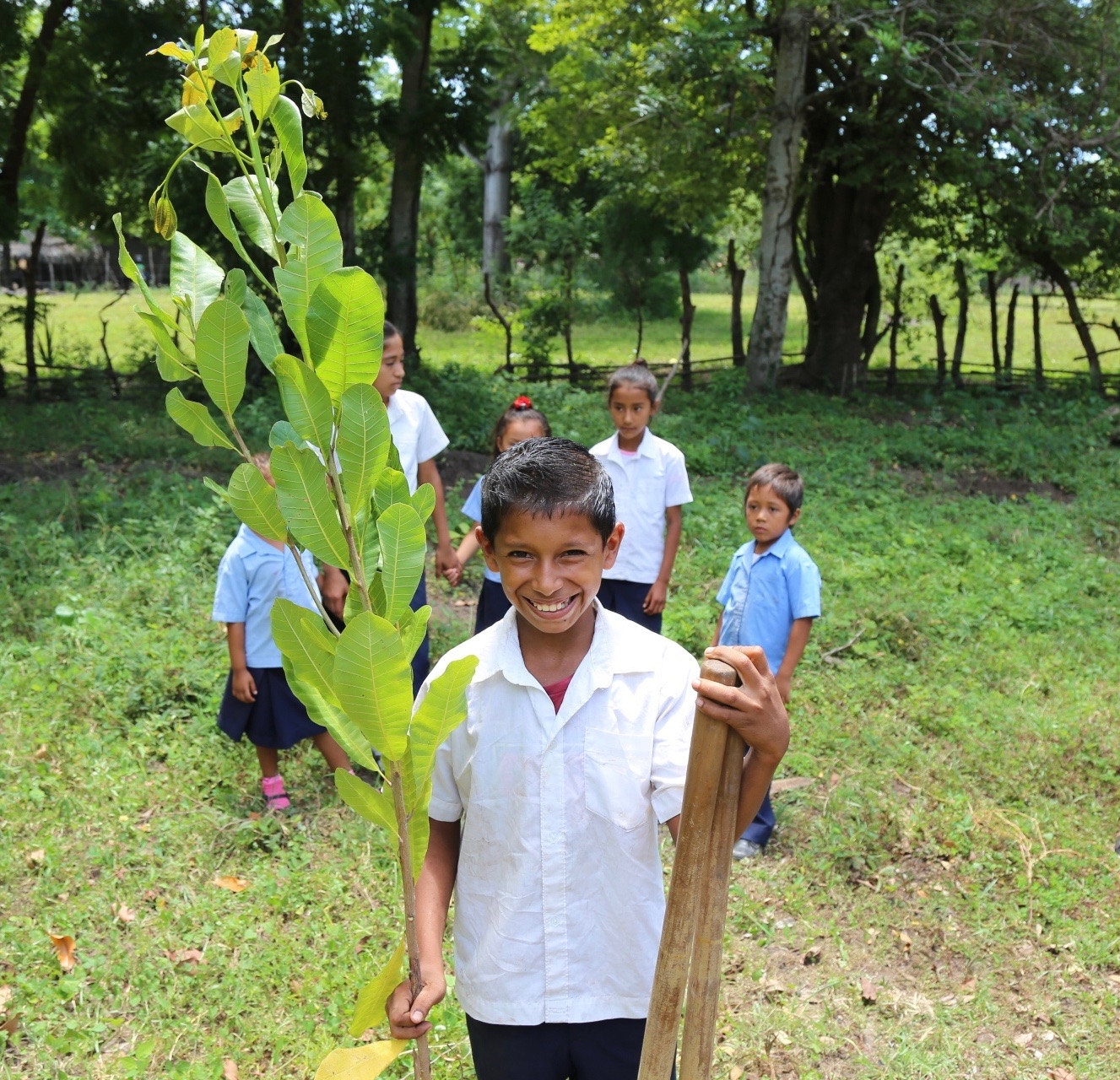 100,000 Fruit Trees for El Salvador