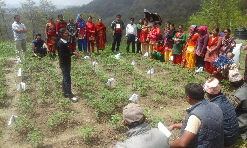 Agriculture Support in Sindupalchowk, Nepal