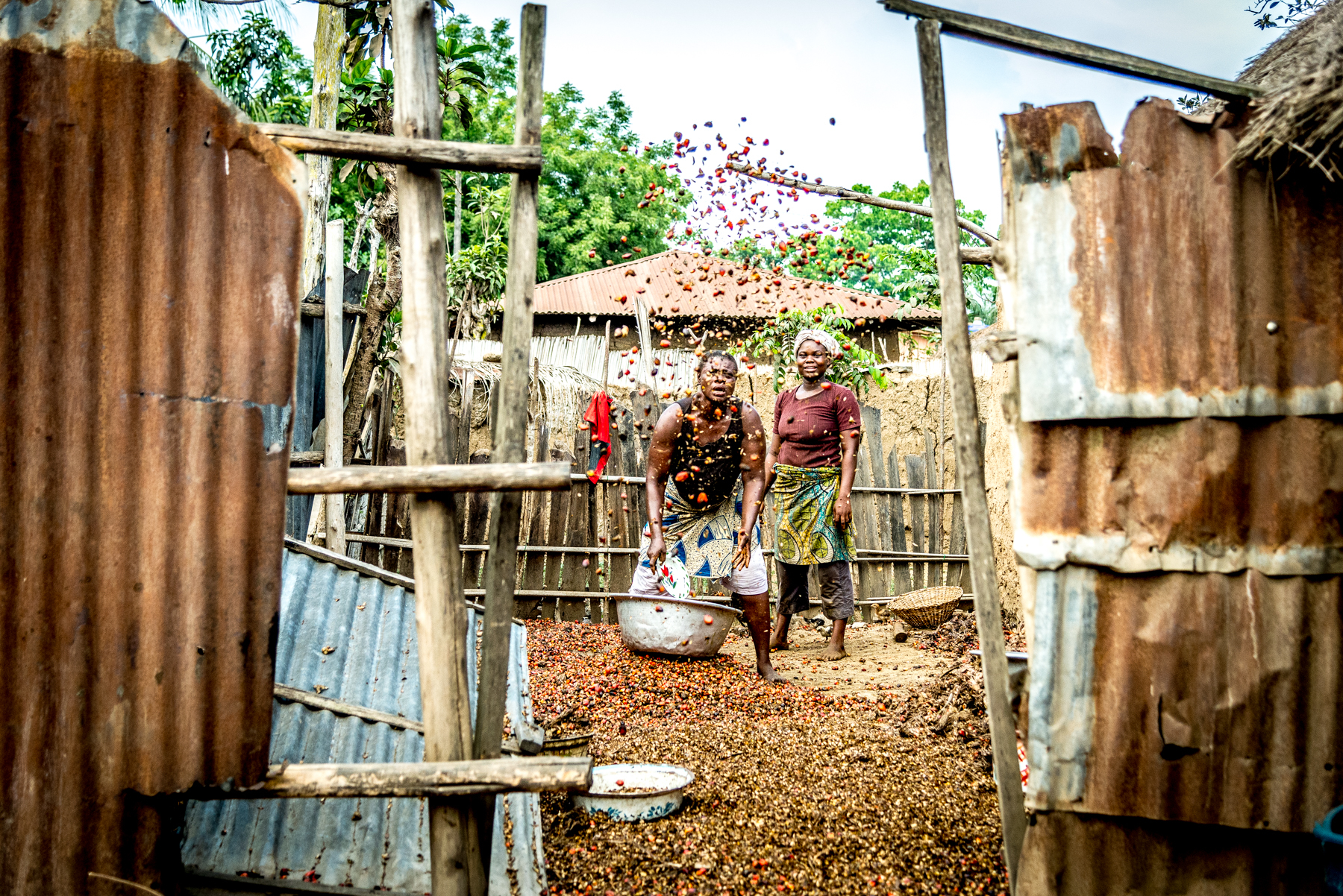 LET'S SEED THE FUTURE