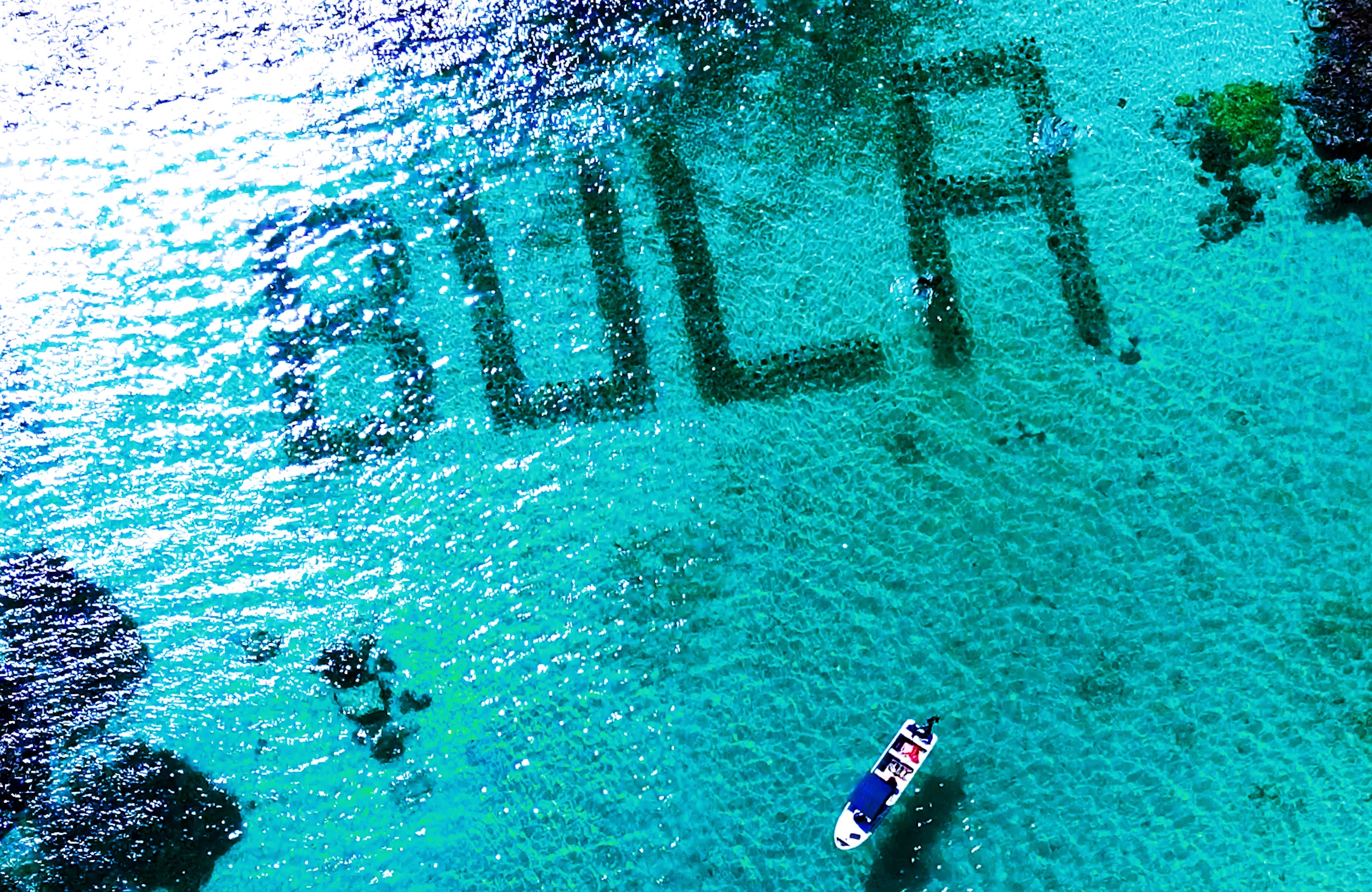 Emergency Response to Mass Coral Bleaching