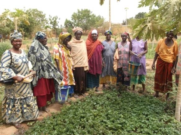 Help Our Nurturing Nutrition Program