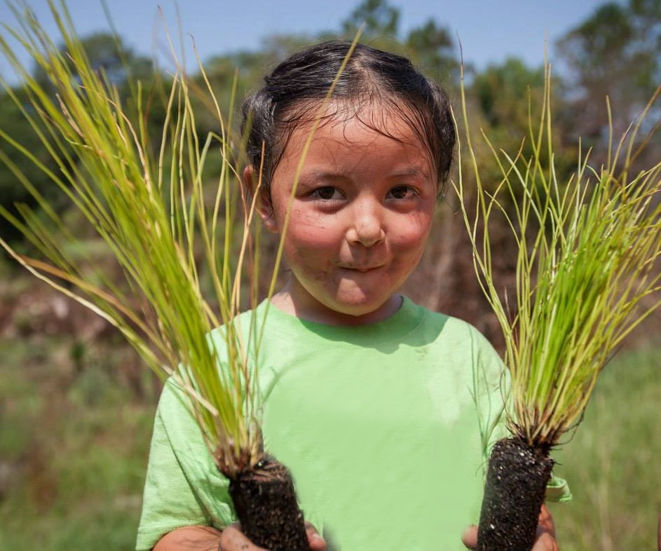 Help Us Plant 10,000 Longleaf Pine Trees in 2017