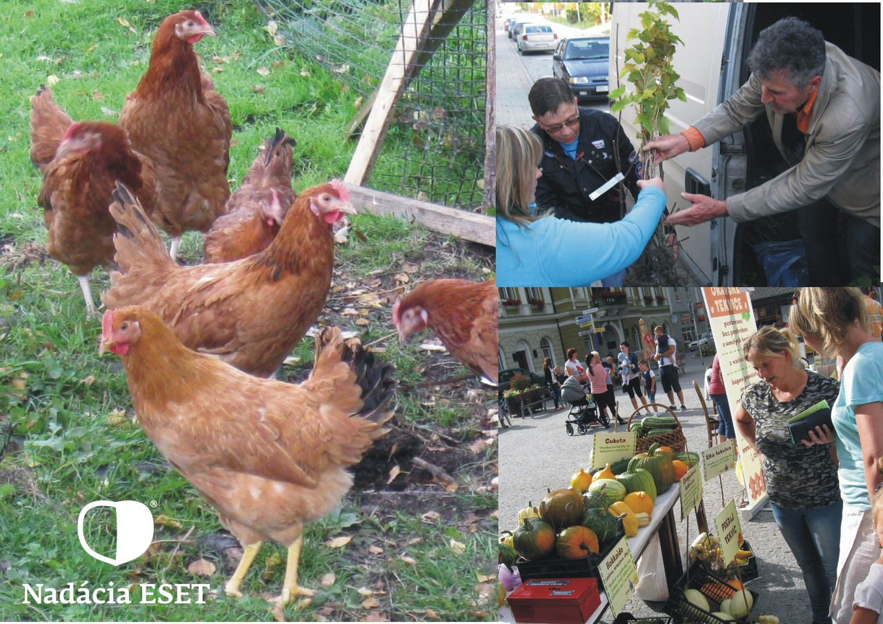 Hens and Seeds for 25 Needy Families in Slovakia