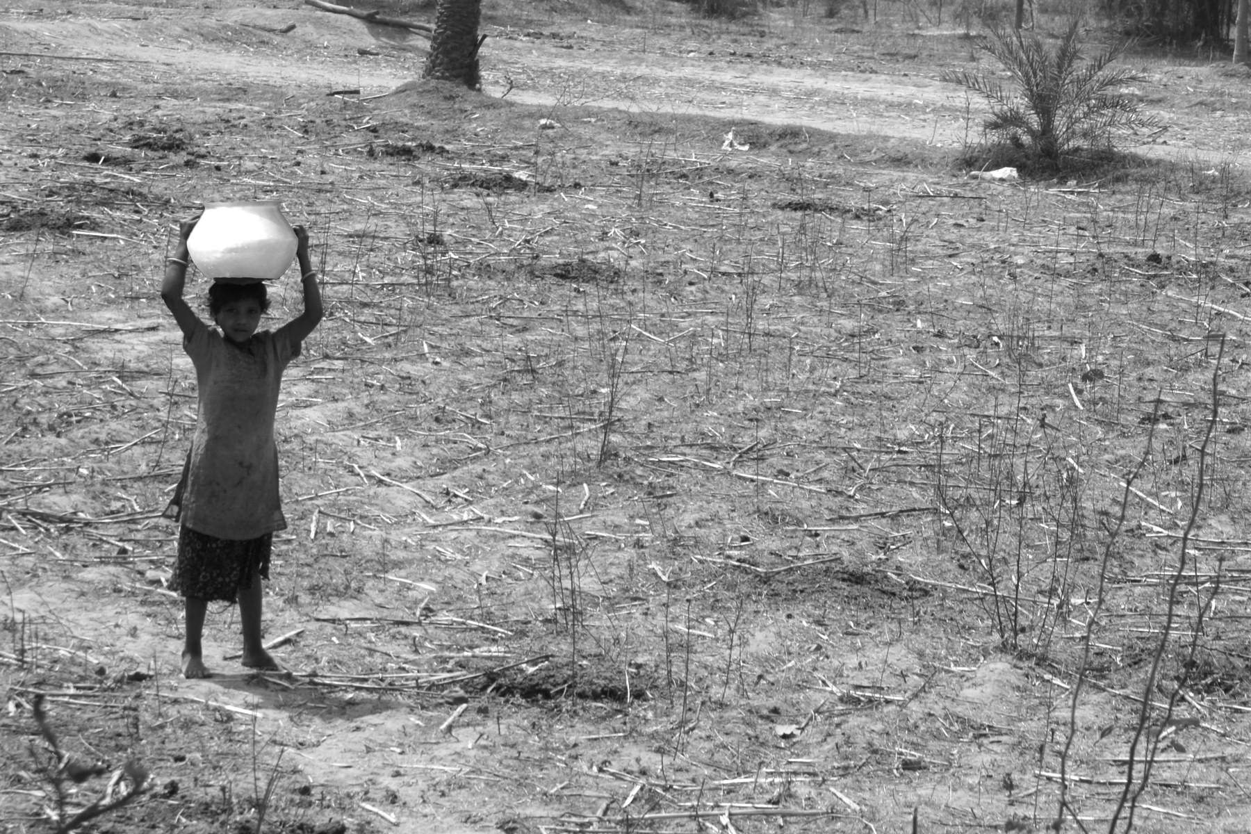 India Heat Wave - Relief for the Suffering