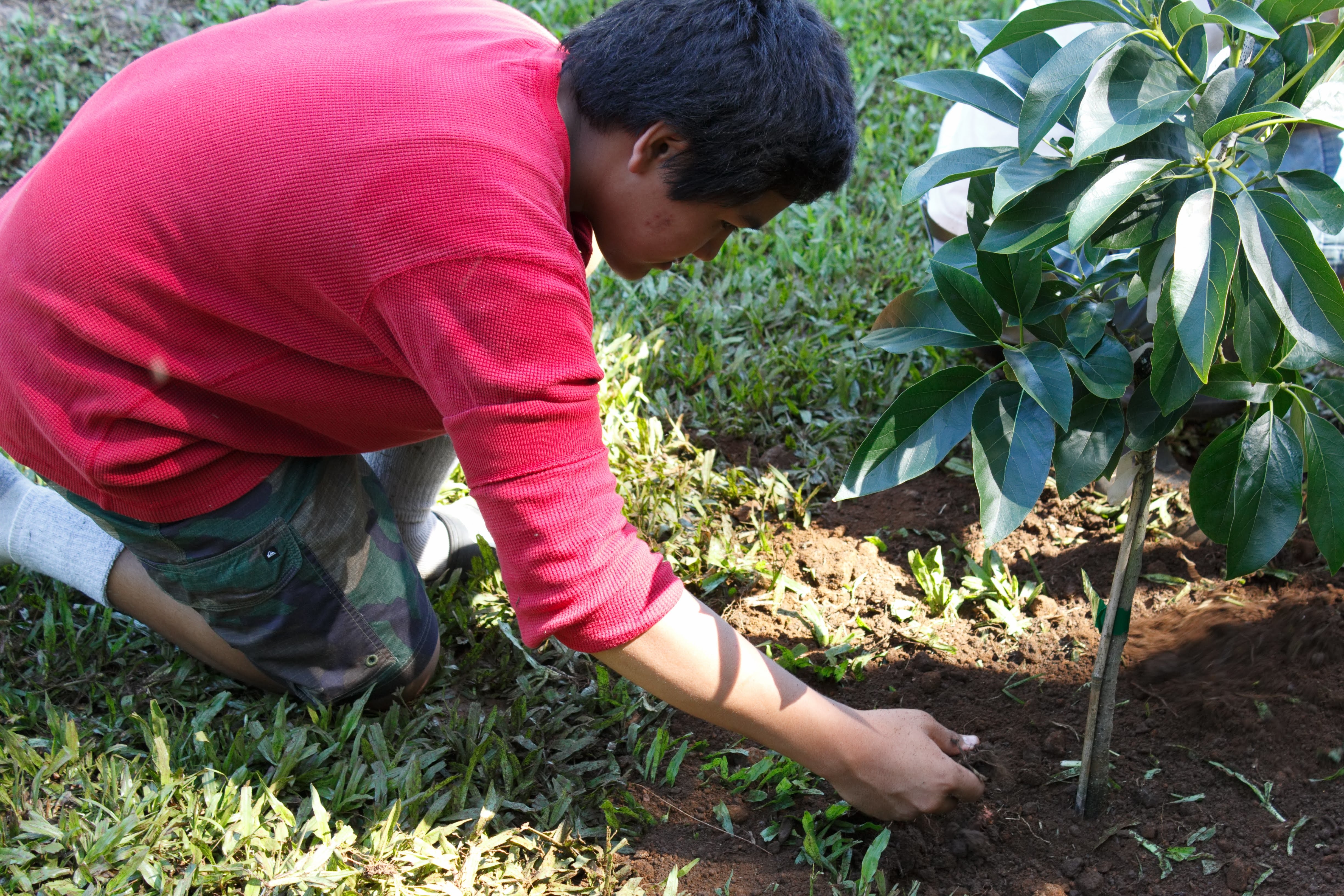 Donate to Fruit Tree Planting Foundation