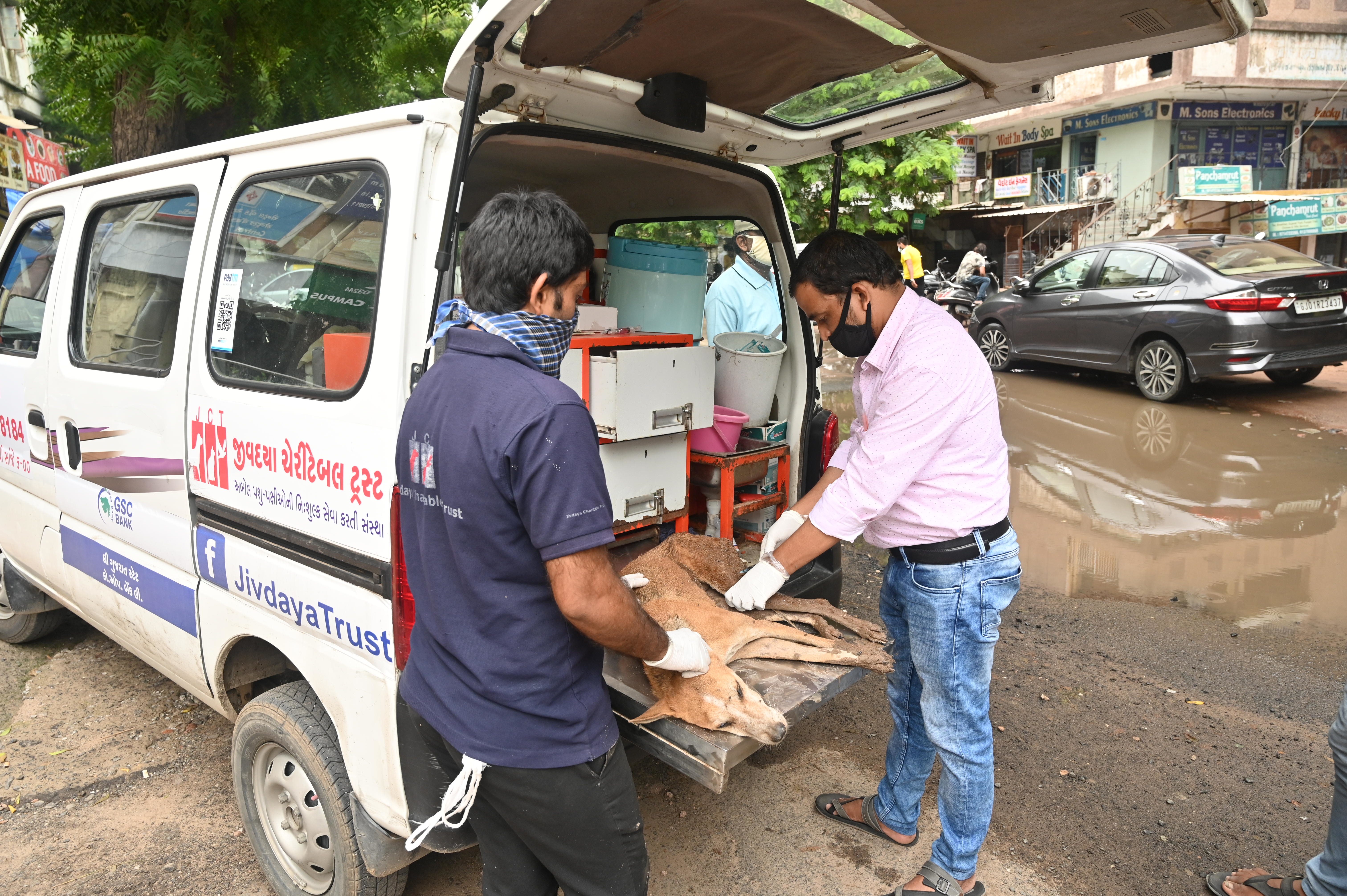 Animal Care on Wheels