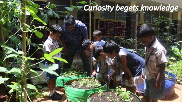 Support Organic Farms and Schoolgardens in India