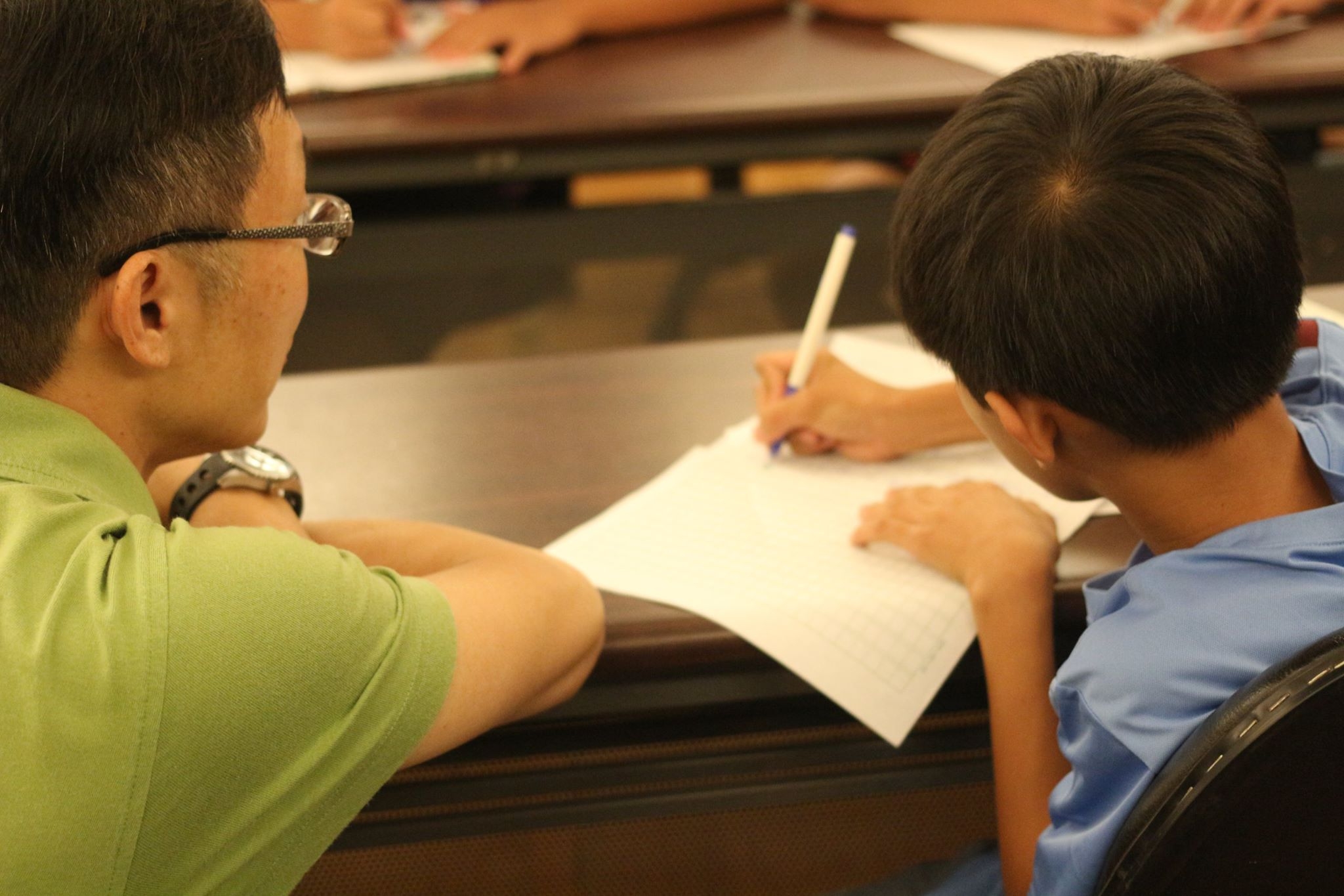 Vulnerable Youth Learning and Education Project