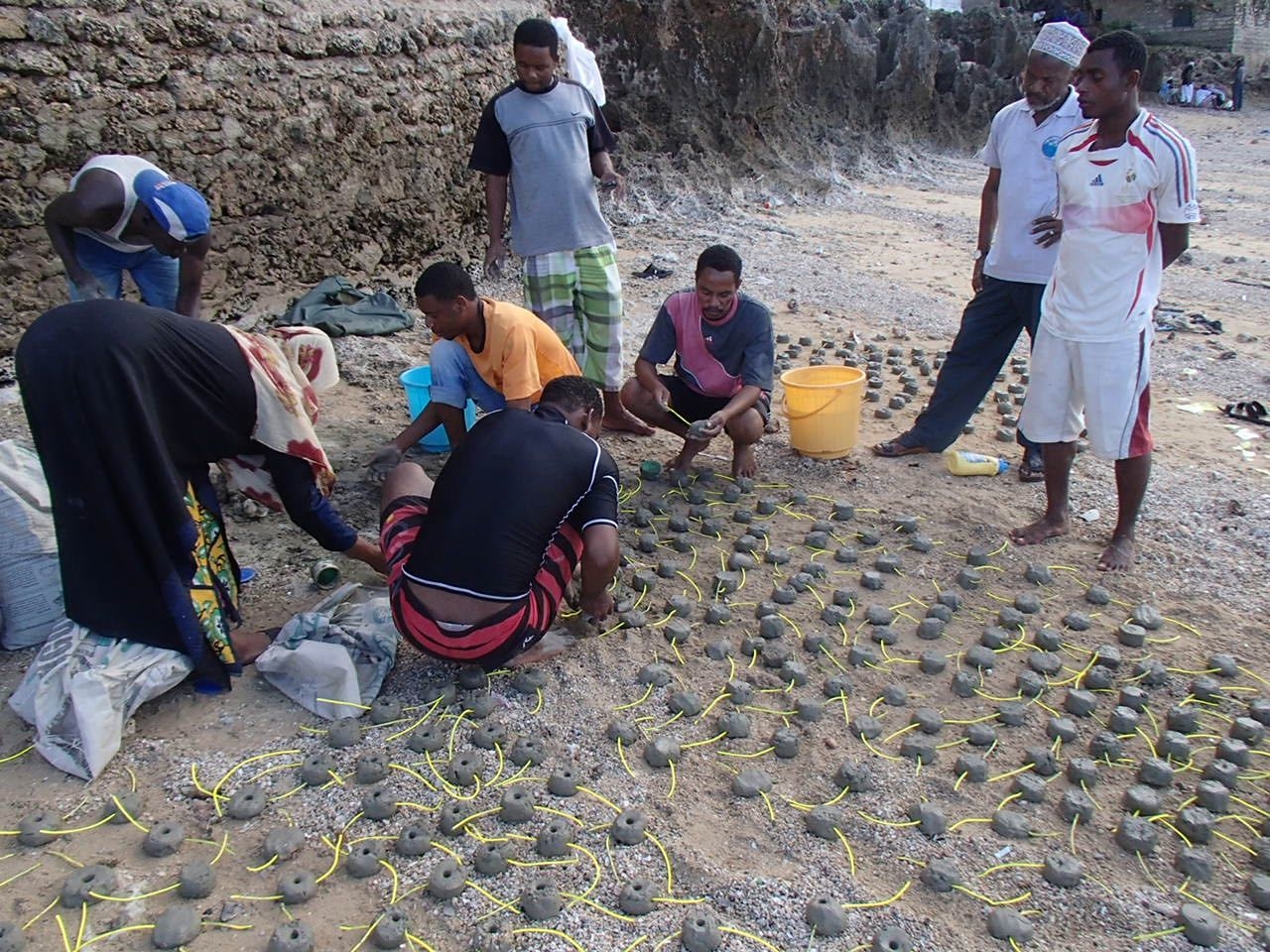 Restore Corals for 400 Fisherfolks in Wasini