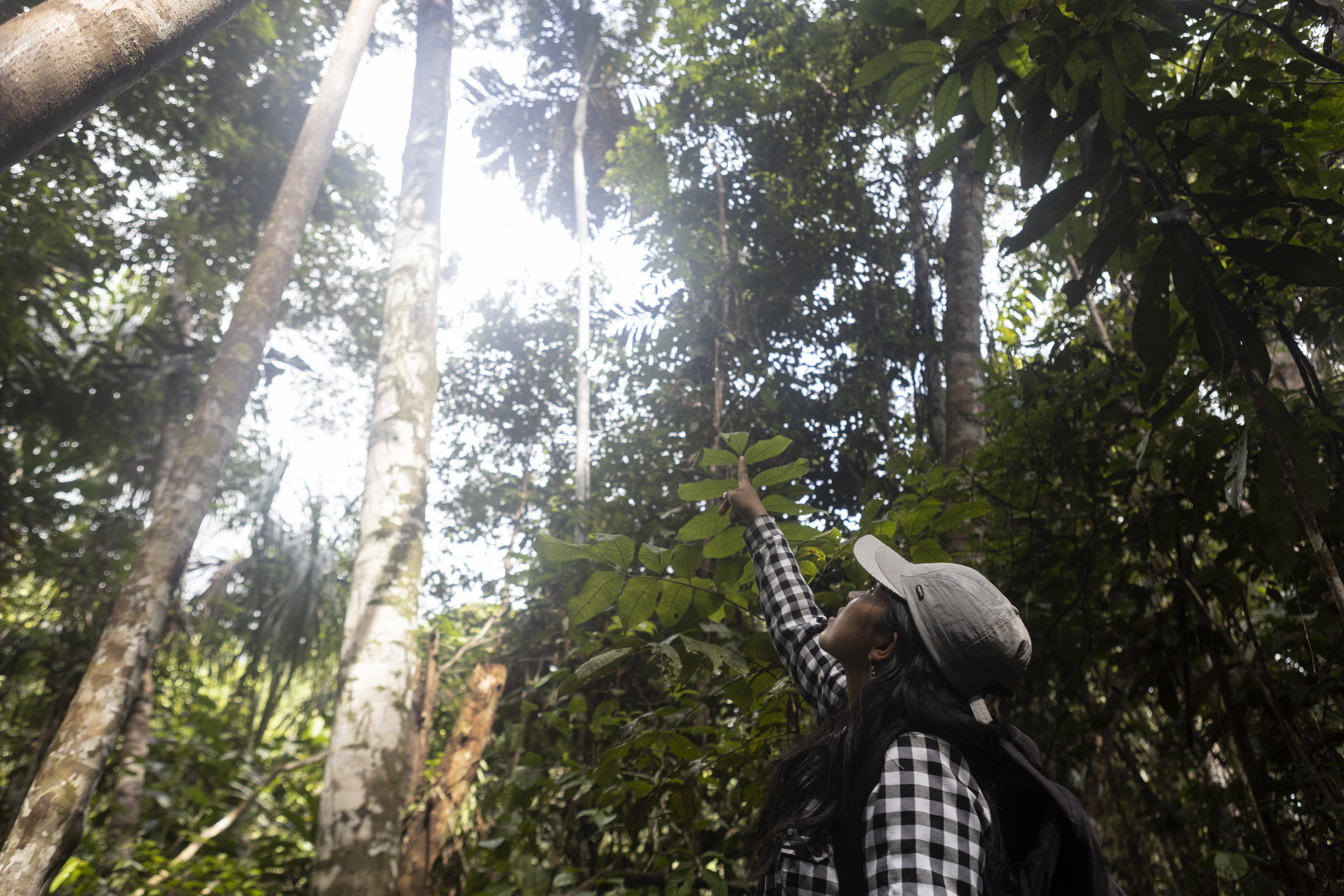 Indigenous Youth Leading the Amazon's Future