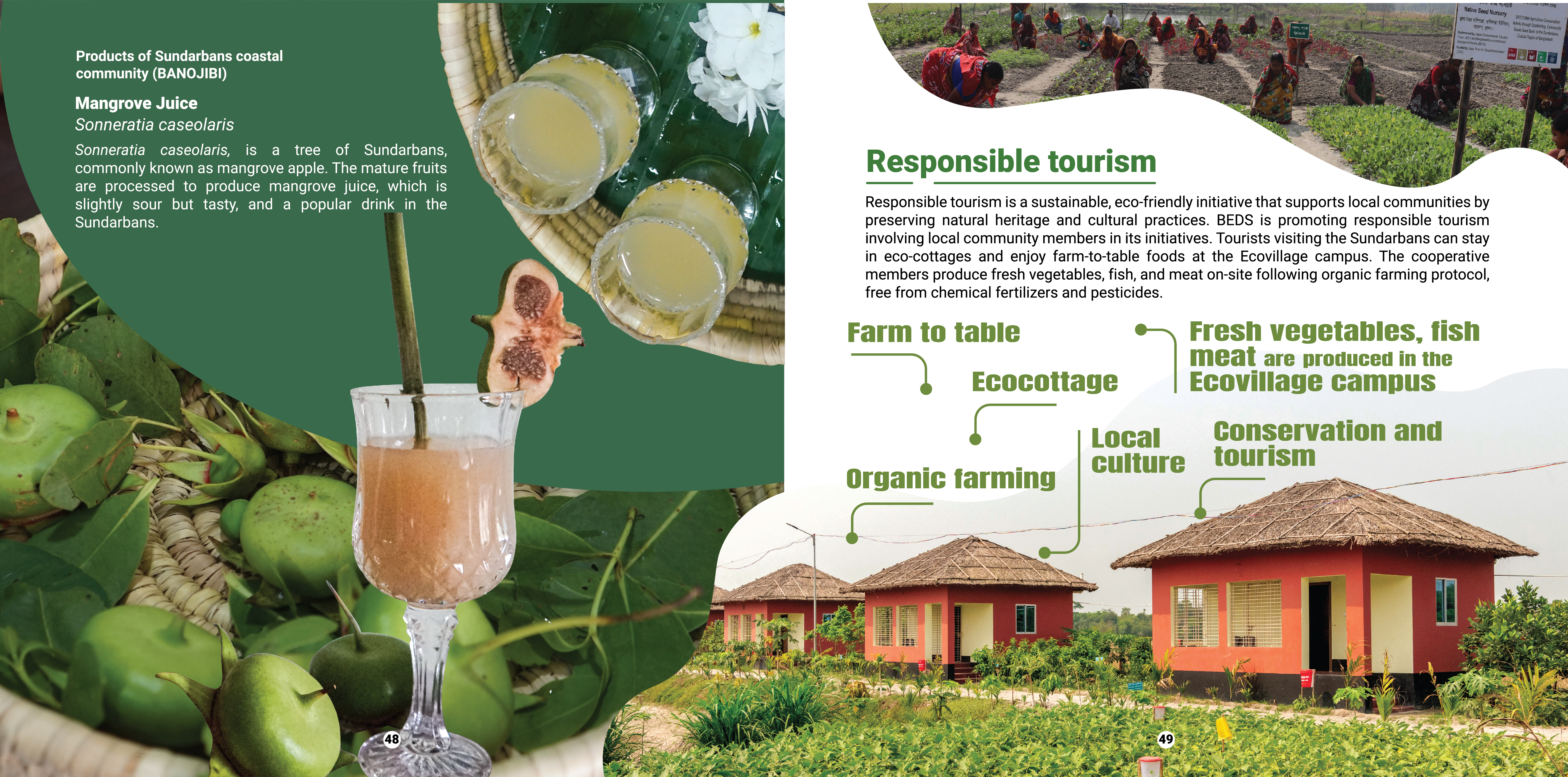 Better Home4Better Life