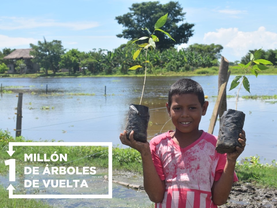 Restoring Ayapel wetland planting together