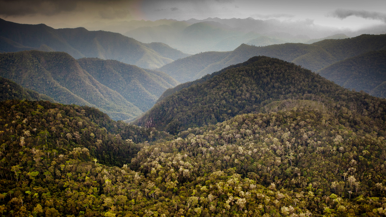 Help Rangers Protect Forests in Southern Belize