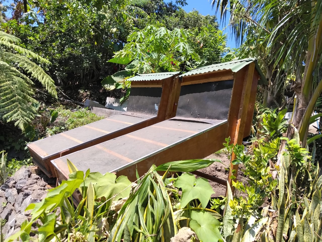 Solar Fruit Dehydrators for MicroEntrepreneurs