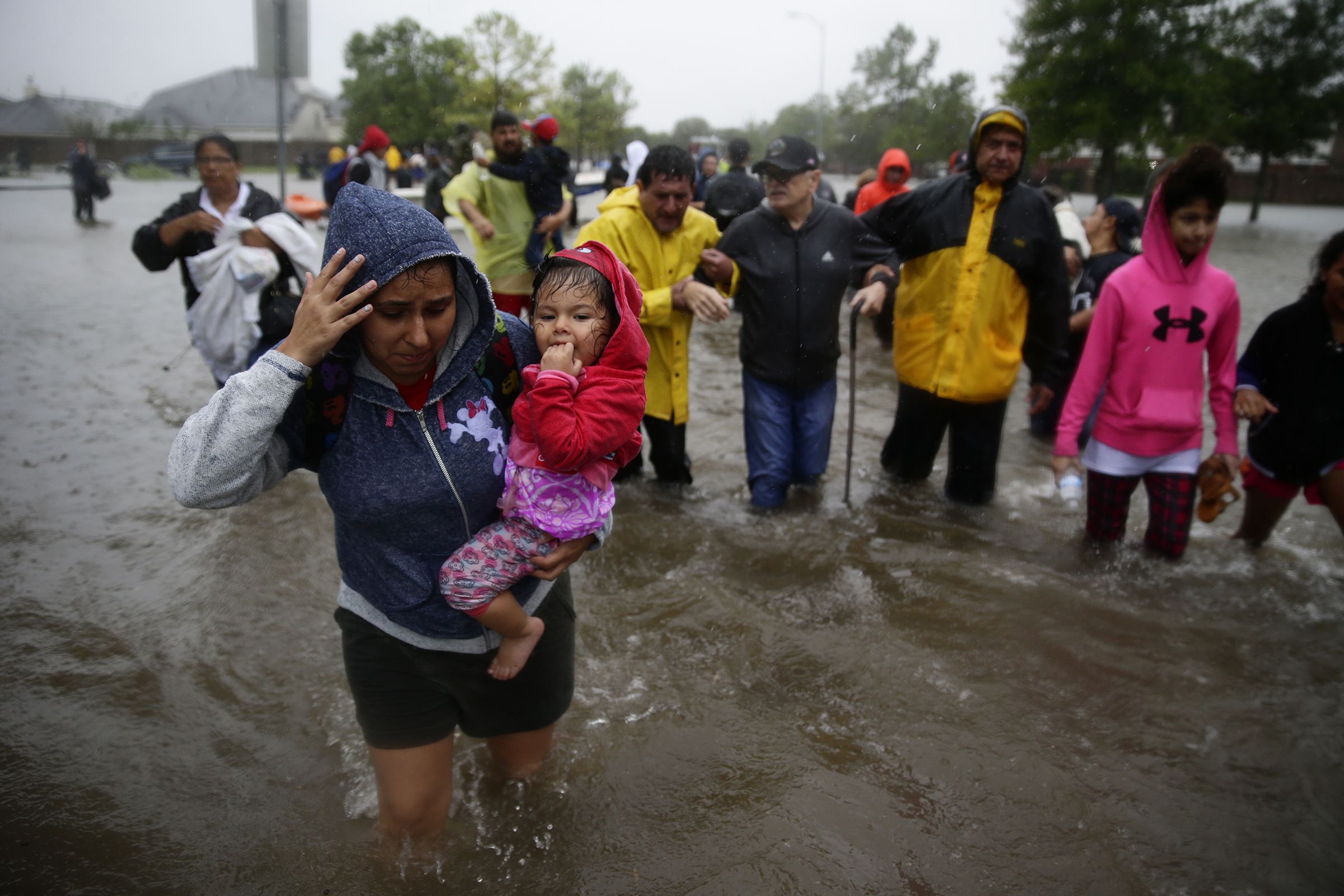 Hurricane Harvey: Help Children Weather The Storm