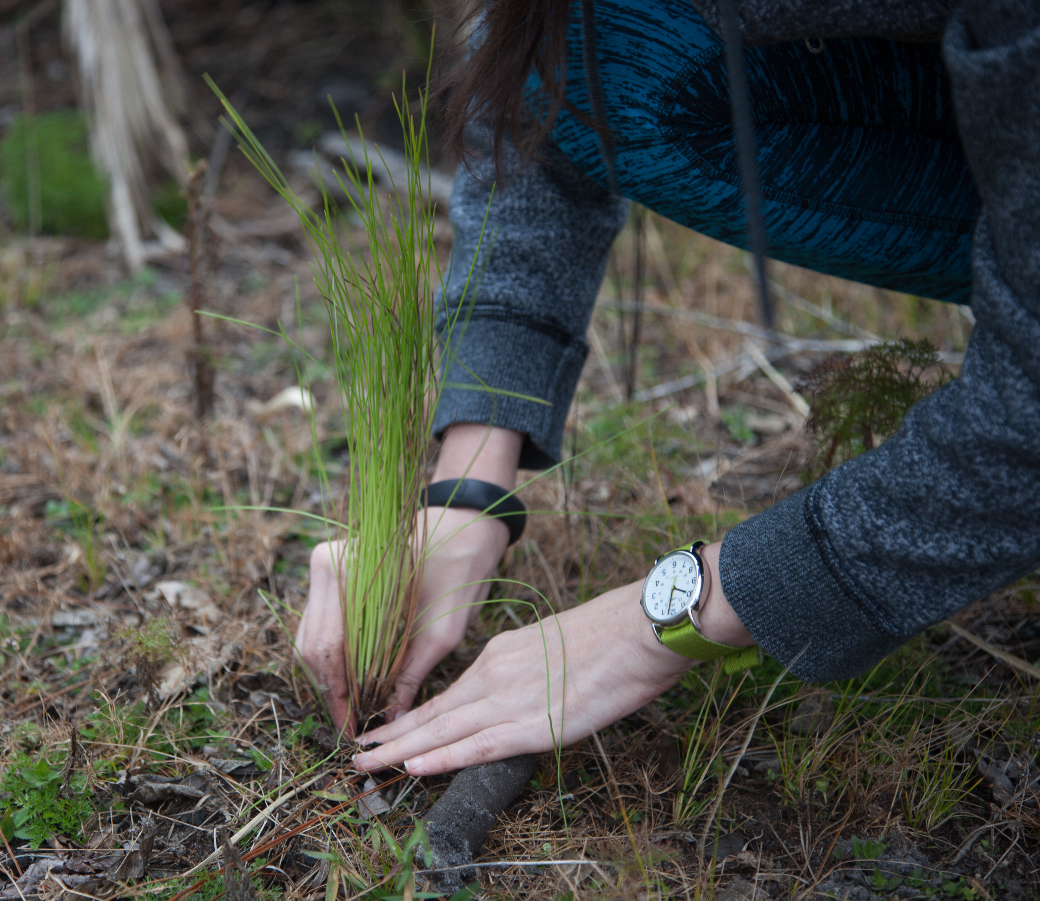 Help Us Perform 12 Carbon Reduction Projects