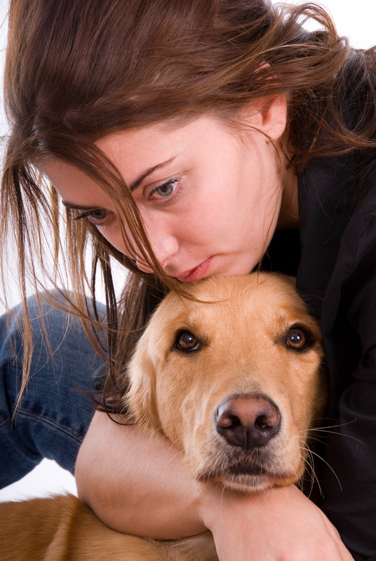 No Animals Left Behind - Help Them Escape Violence