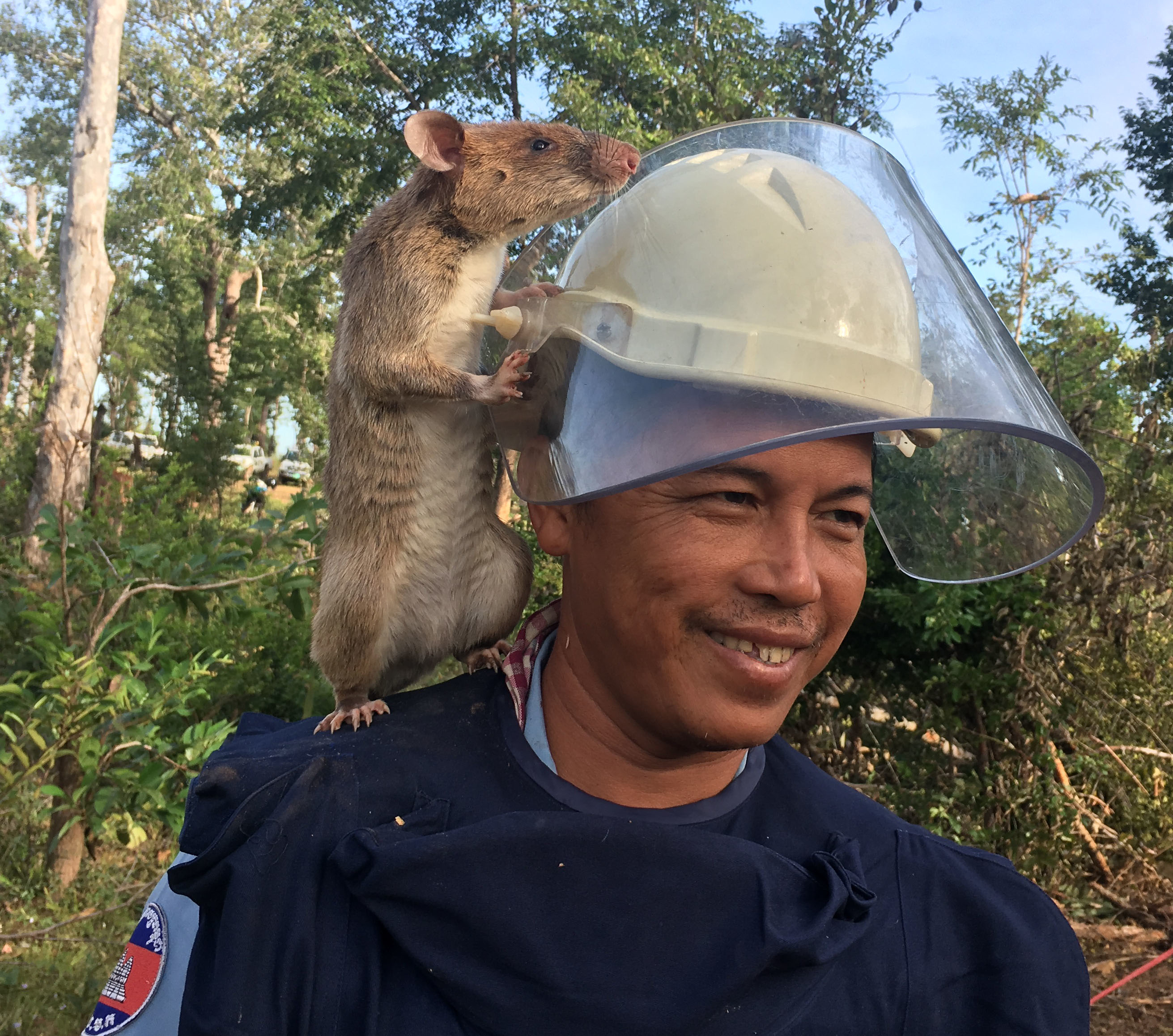 Ratticus Finch Sponsorship - Planson International