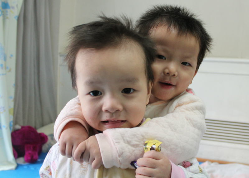 Special Care Nursery for Orphaned Babies