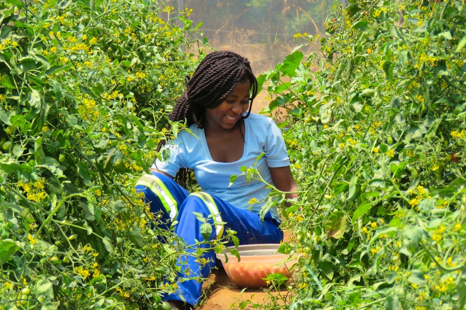 Zimbabwe NGOs and Nonprofits - GlobalGiving