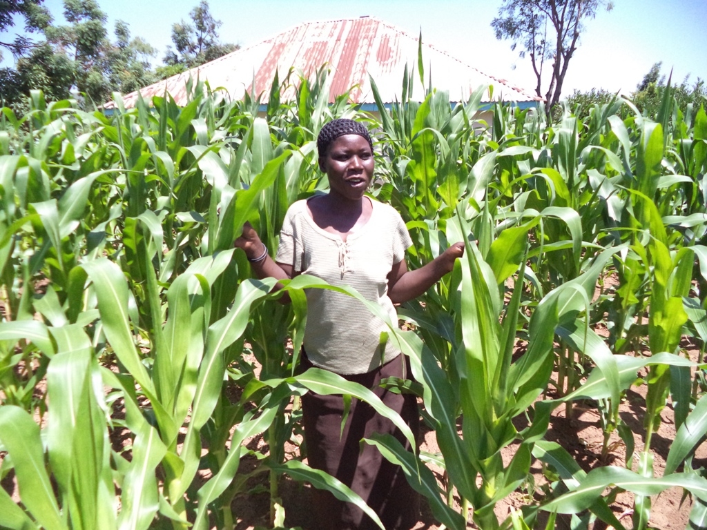 Enable 1500 Kenyan Rural Farmers for Agribusiness