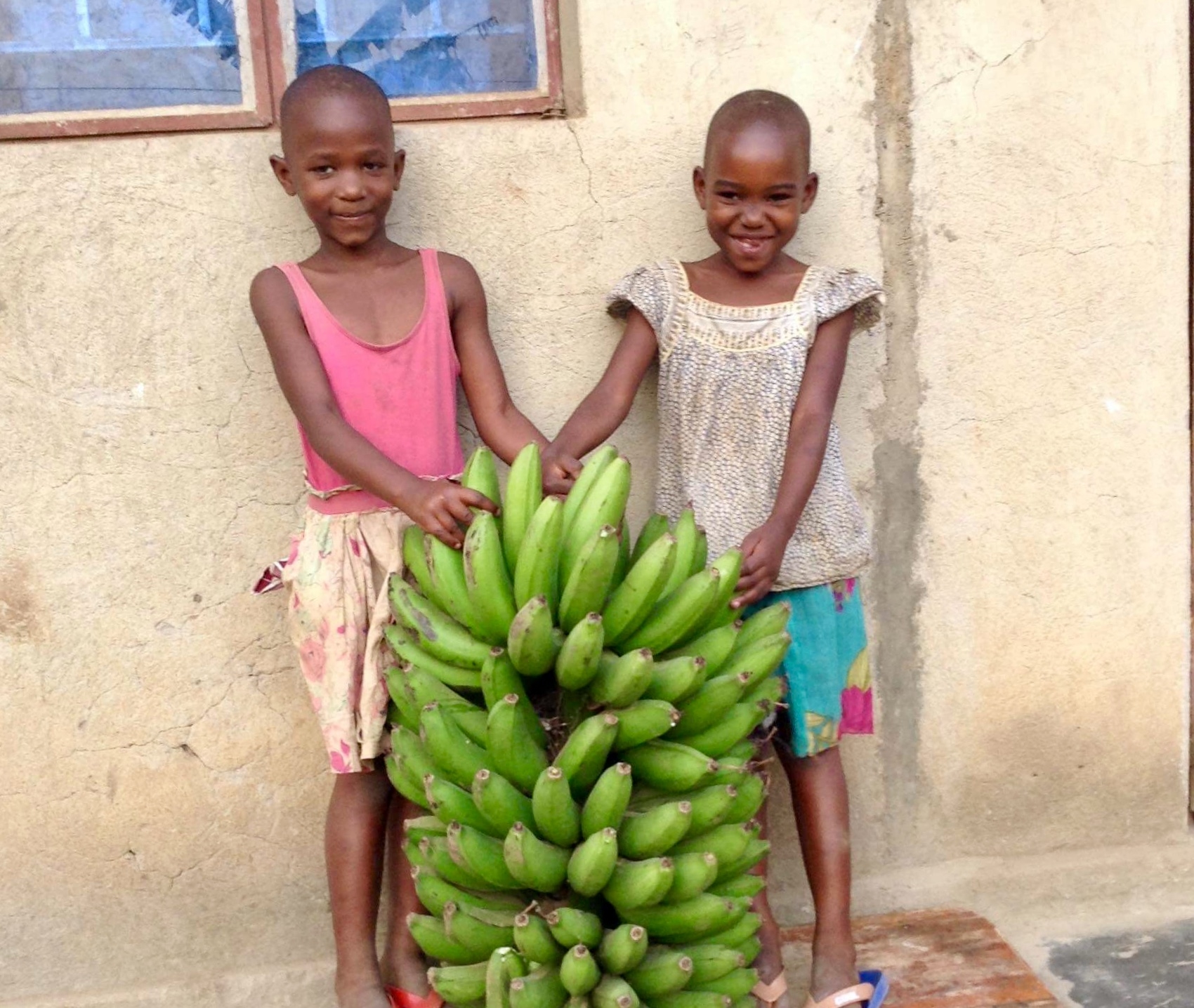 Help us plant 1 acre of banana trees