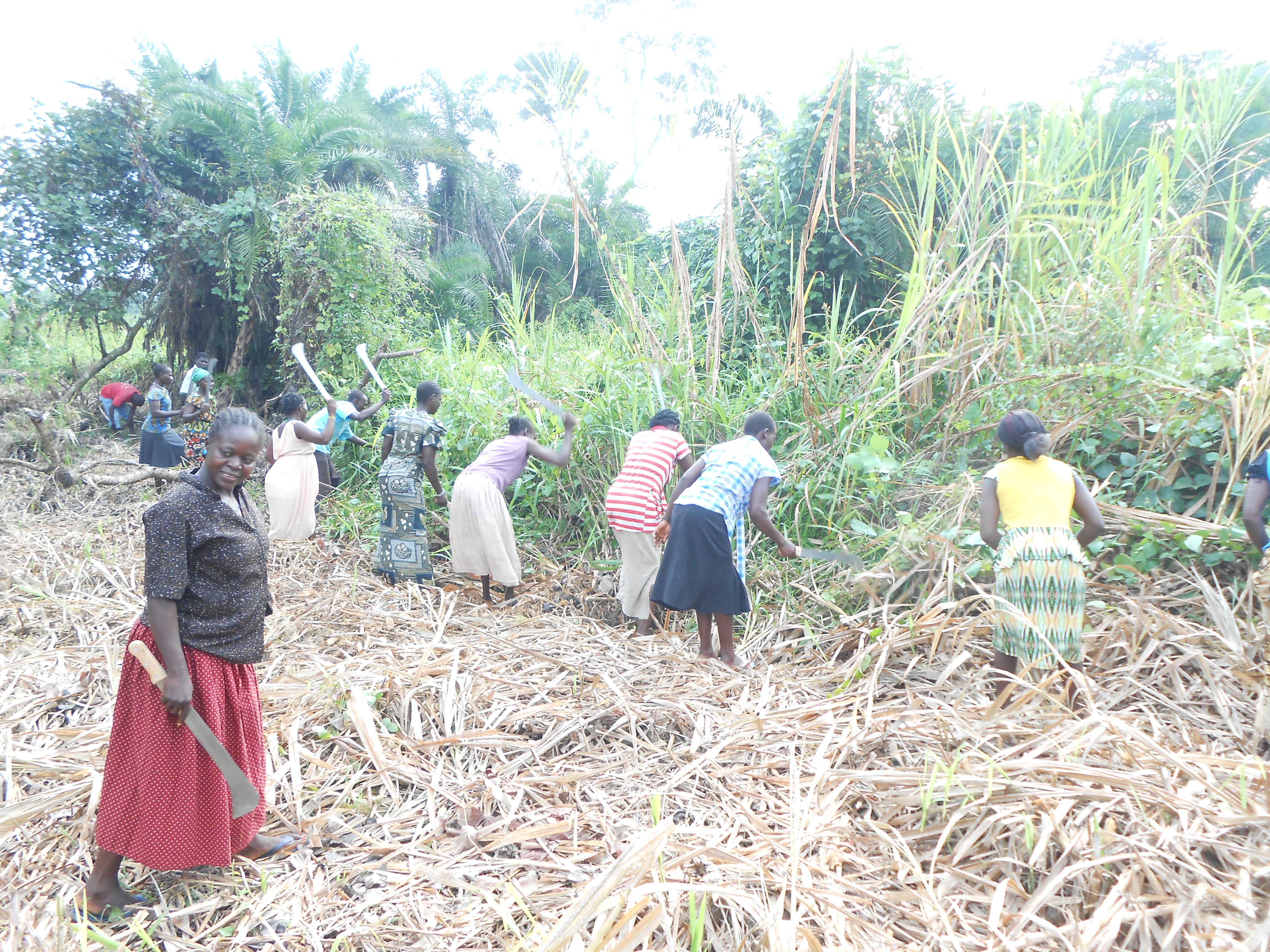 Empower 103 Households for their Livelihoods