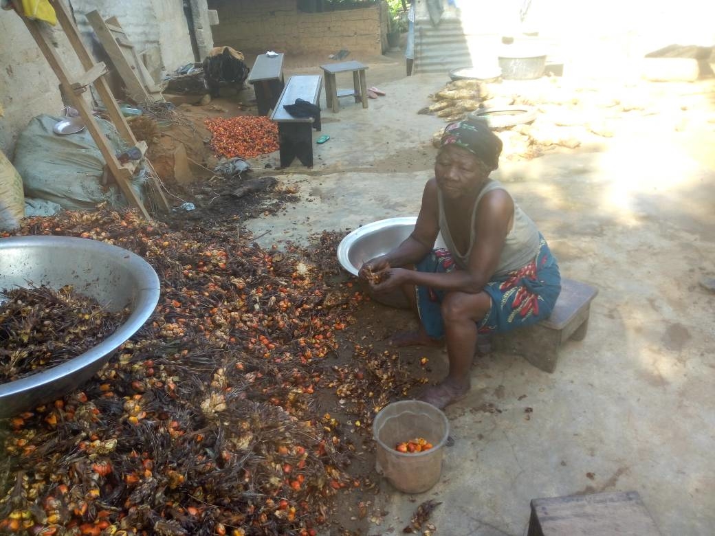 Help Build Processing Machines For 100 Uyo Farmers