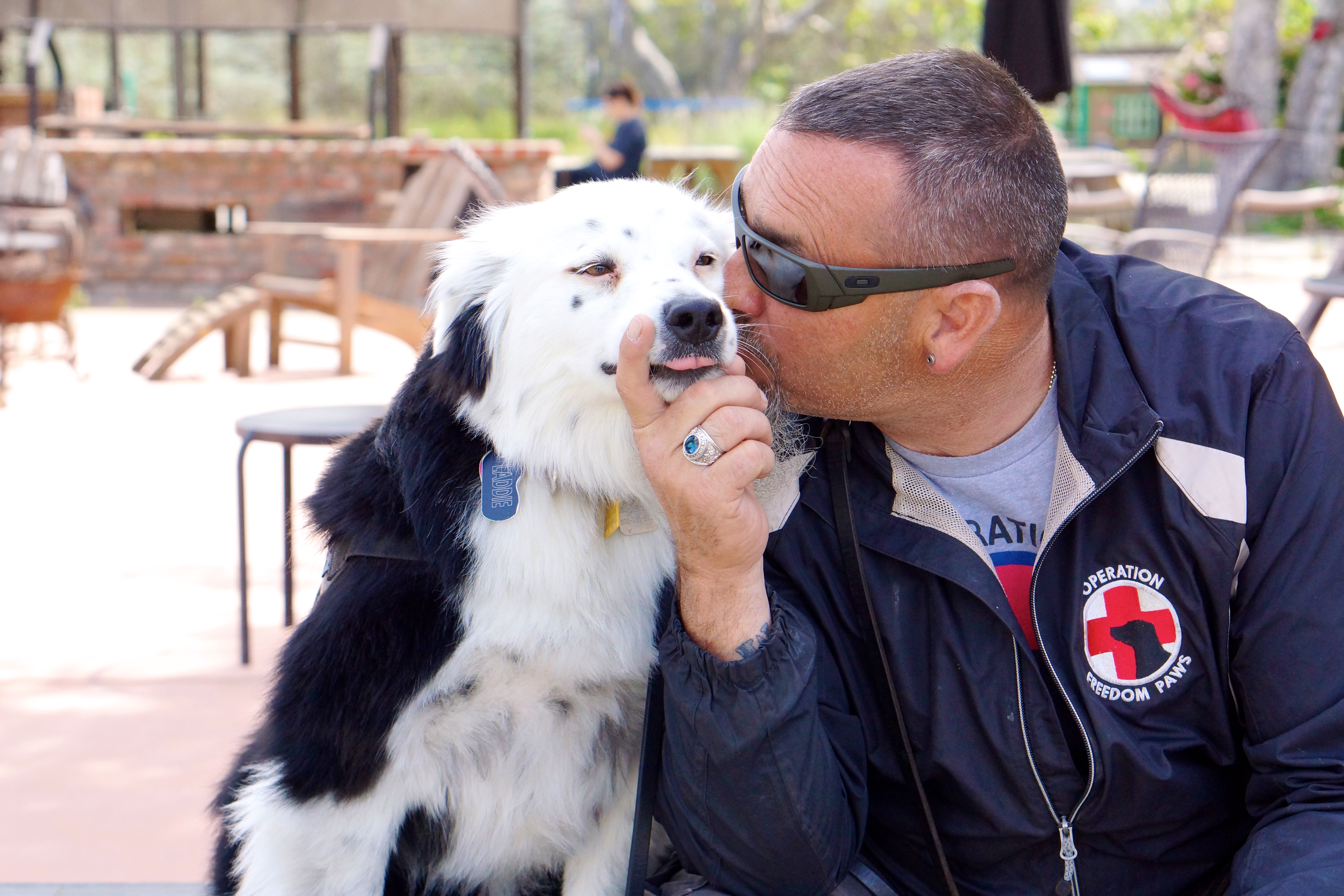 Training Service Dogs for Veterans!