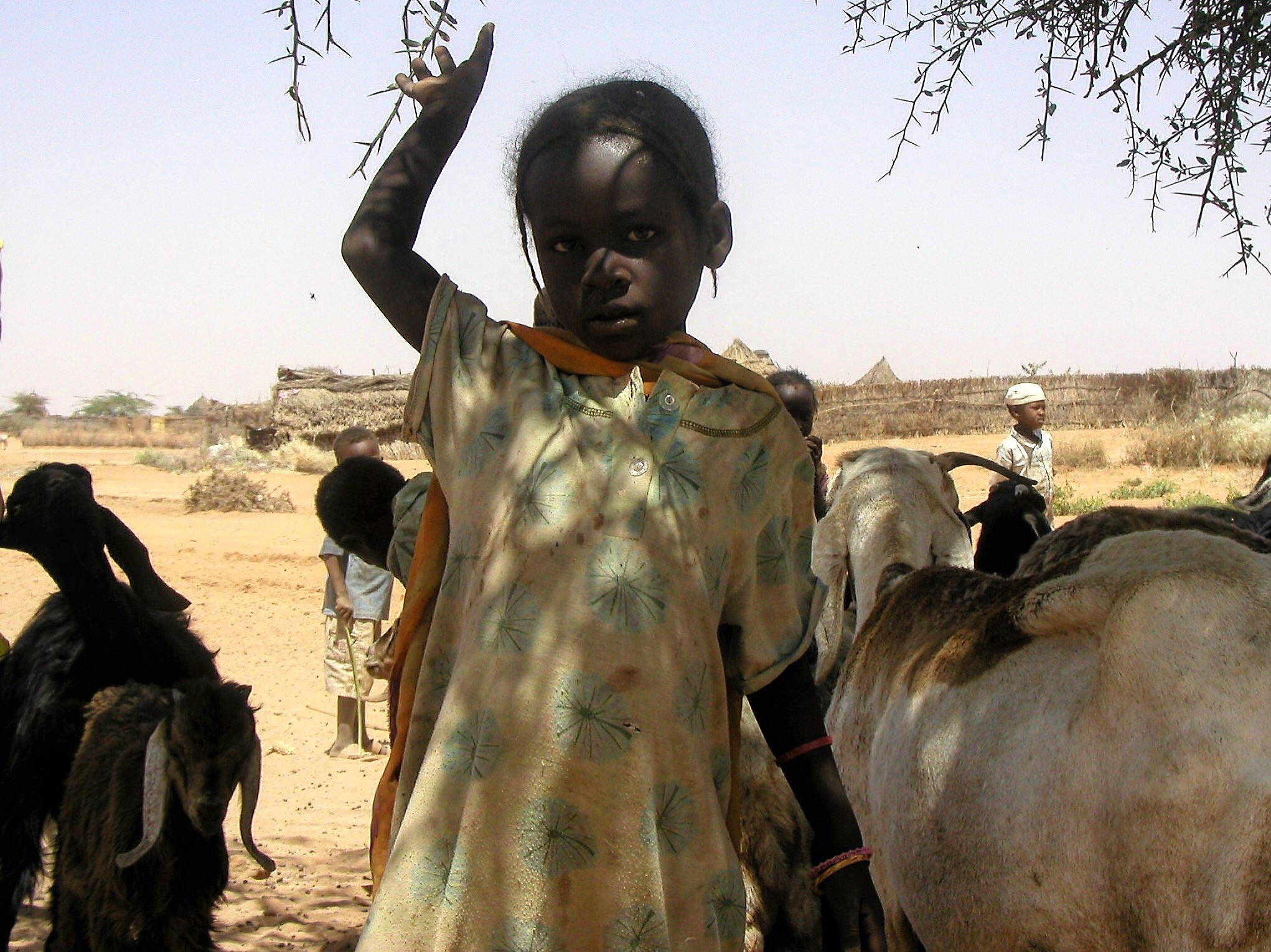 Help Families Rebuild After Famine