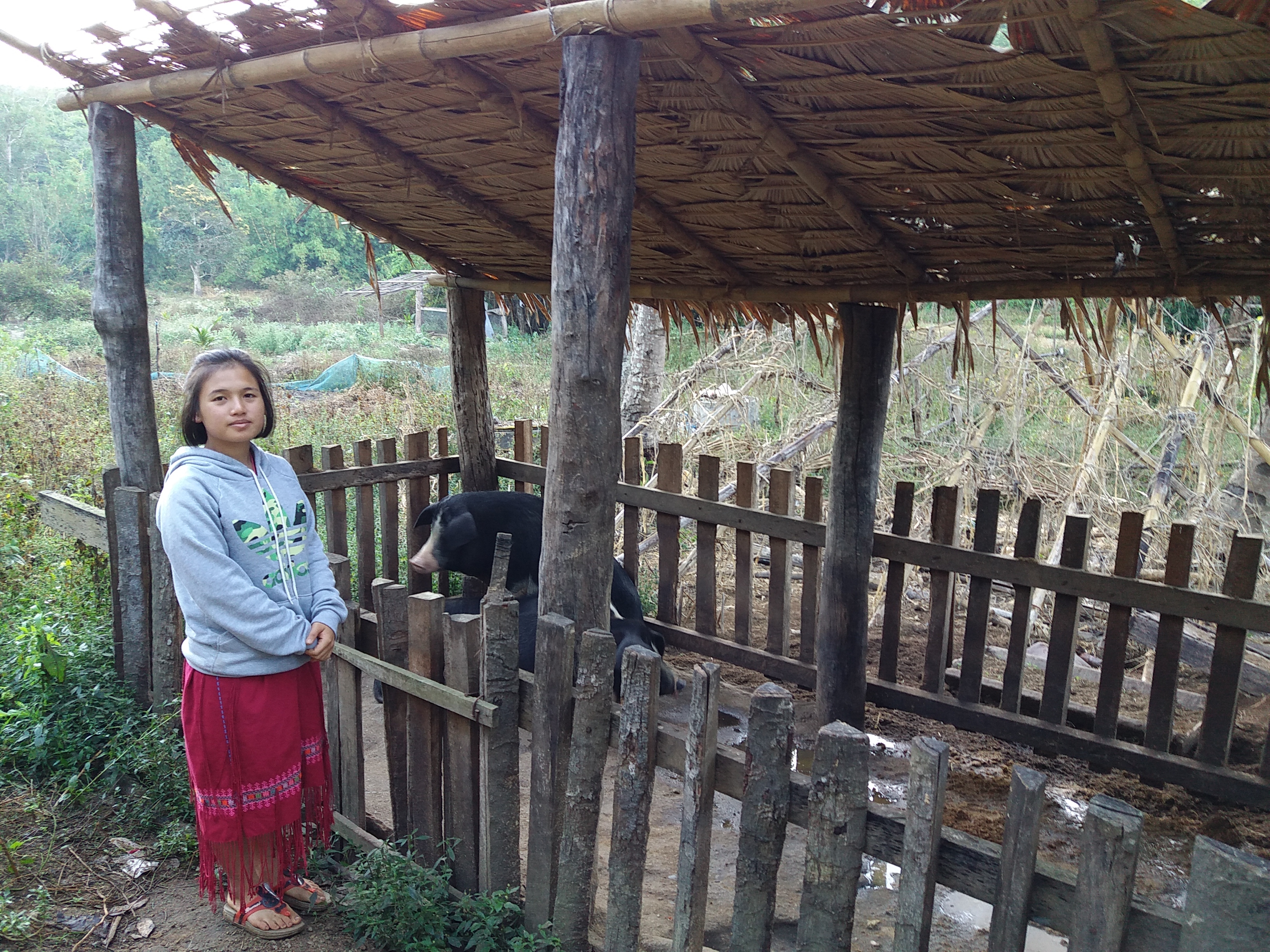 Biogas for Better Lives in Rural Thailand