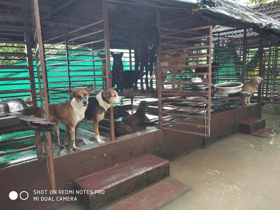 A barefoot run to support flood victims of Kerala