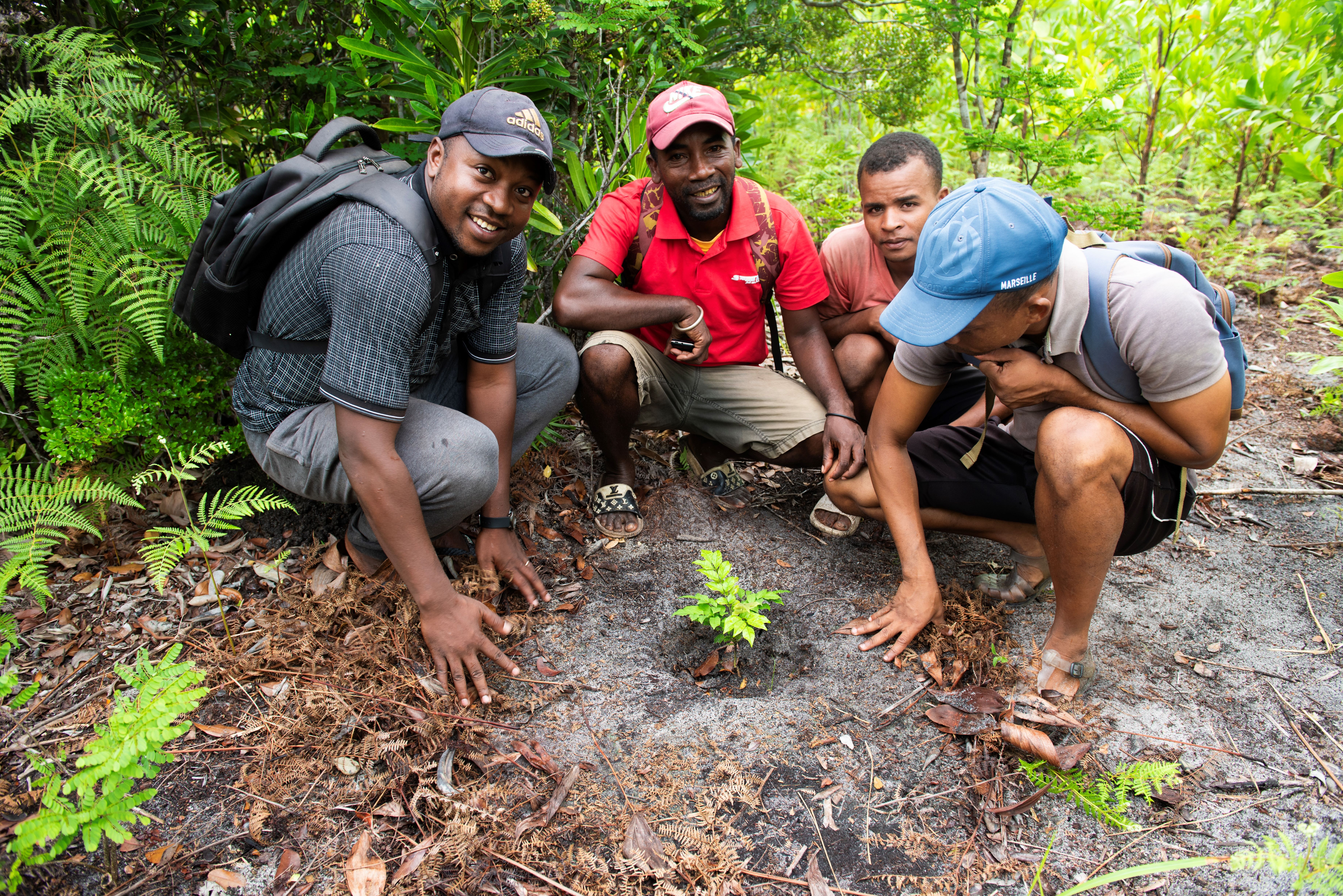 Protecting Threatened Lemur Habitat in Madagascar