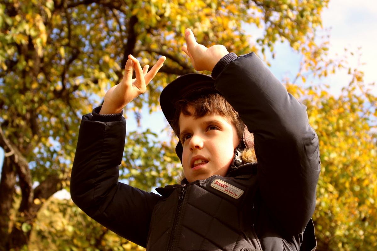 Build a Horse Therapy Centre for Disabled Children