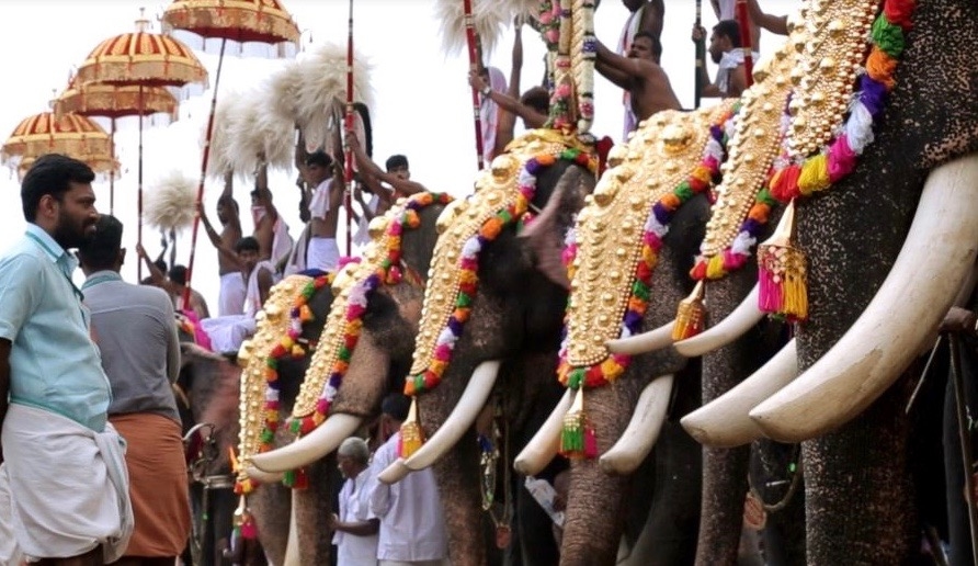 Gentle Giant Summit for Stakeholders in Kerala